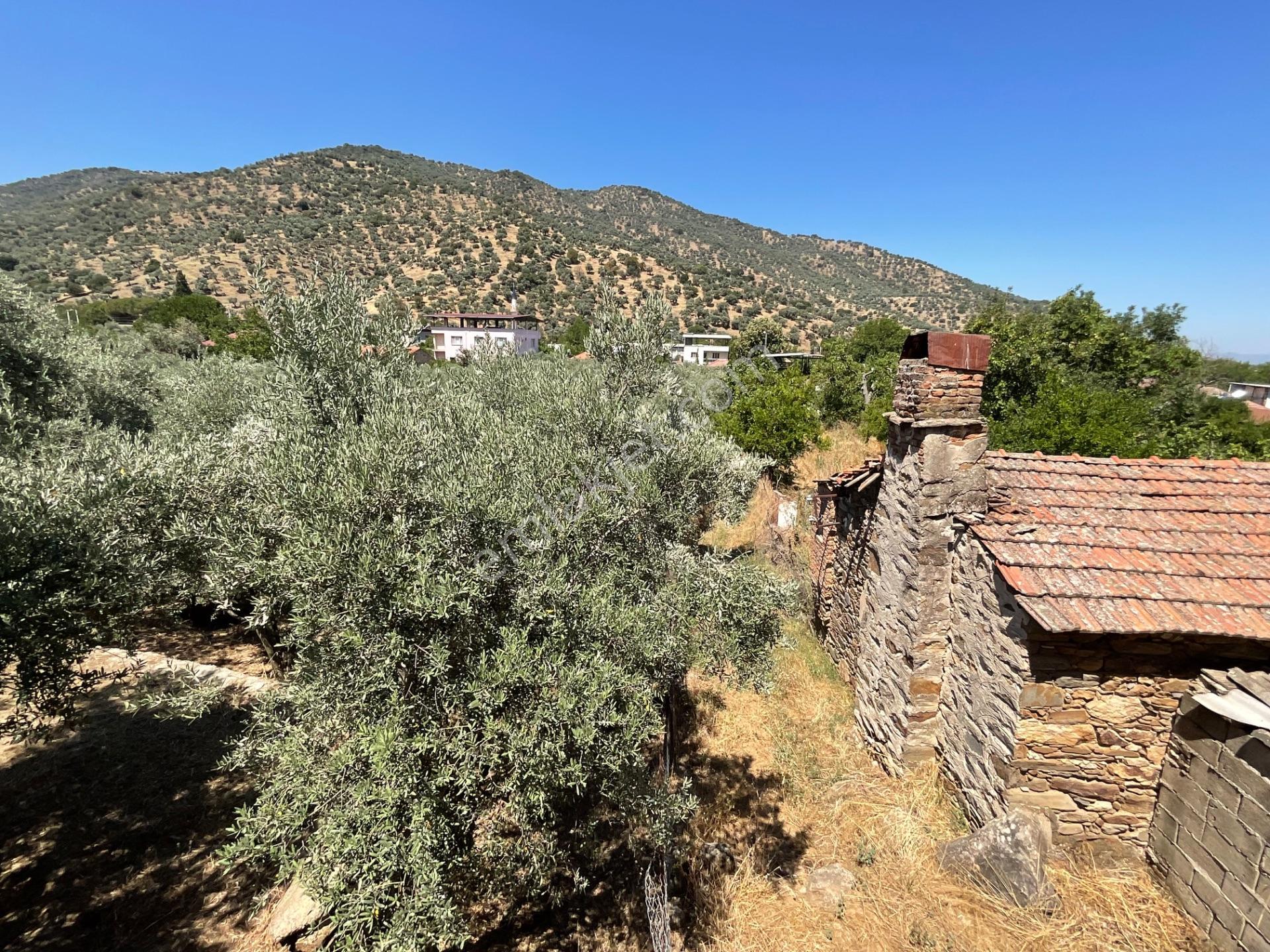 Aydın Çine Bahçearası’nda 2193 M² Satılık İmarlı Arsa - 130 Zeytin Ağaçlı - Görsel 7