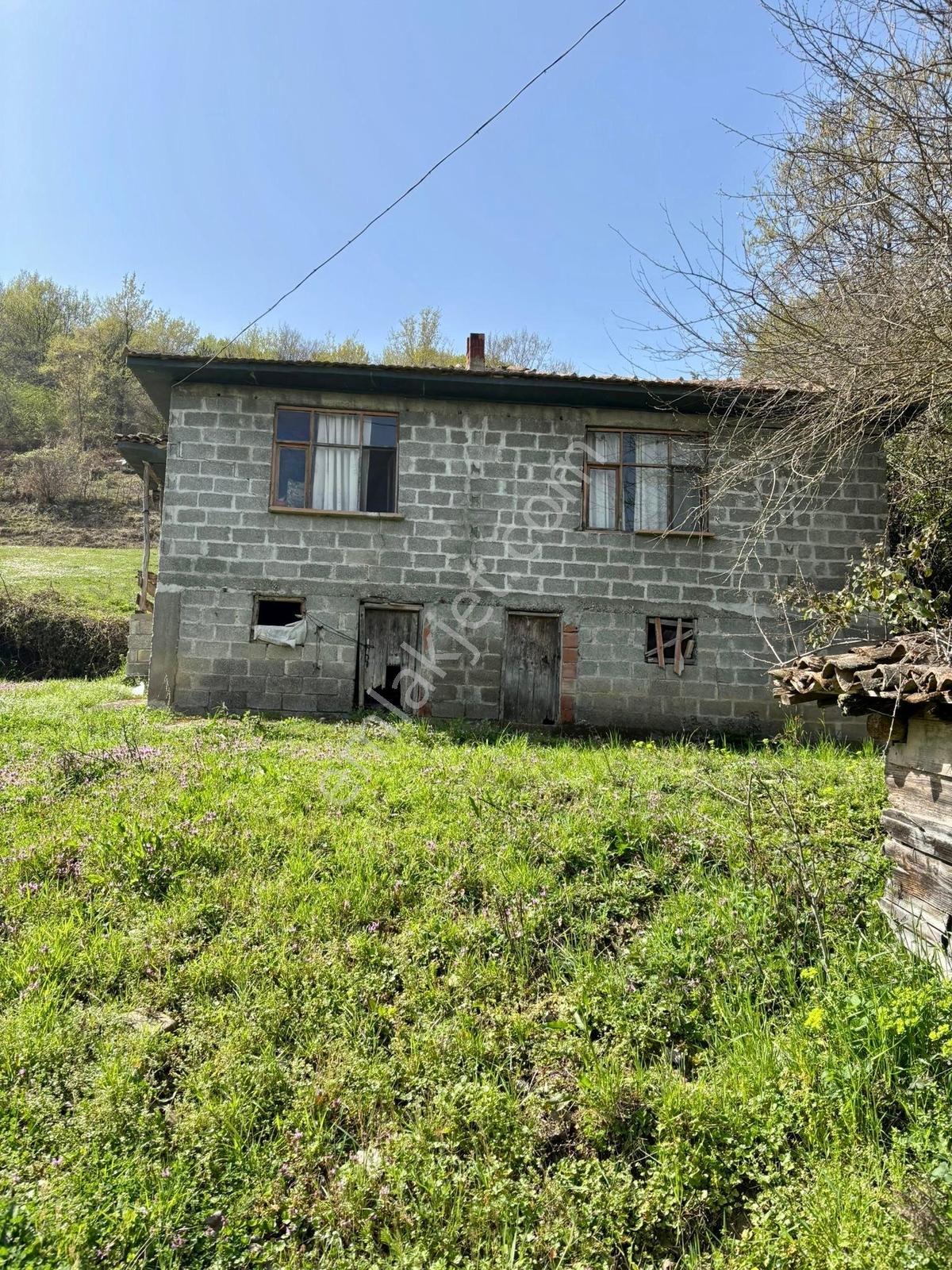 Alaçam'da Yatırımlık 25 Dönüm Verimli Tarım Arazisi Müstakil Ev