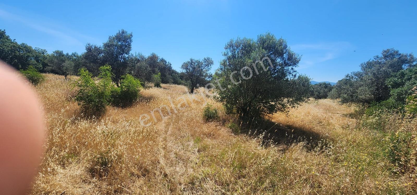 Kazdağları Eteklerinde %80 İmarlı, Yollu, 4825m2 Müstakil Parsel - Görsel 18