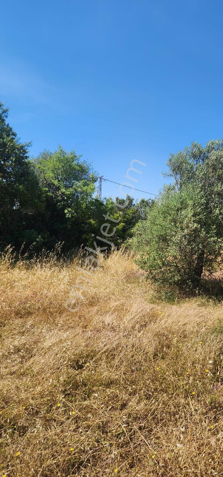 Kazdağları Eteklerinde %80 İmarlı, Yollu, 4825m2 Müstakil Parsel - Görsel 14