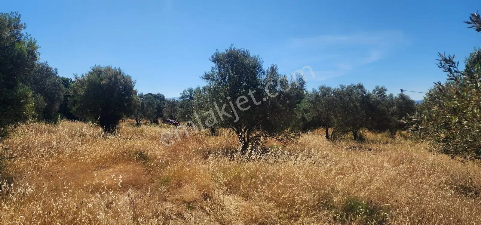 Kazdağları Eteklerinde %80 İmarlı, Yollu, 4825m2 Müstakil Parsel - Görsel 3