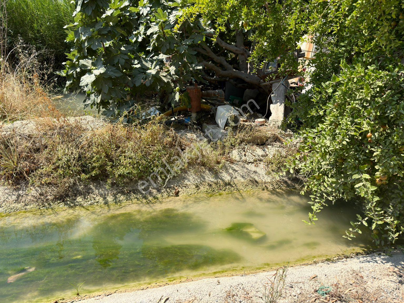 Türe Gayrimenkulden Silifke Kapızlıda İmara Yerleşime Yakın Tarla Satılık - Görsel 12