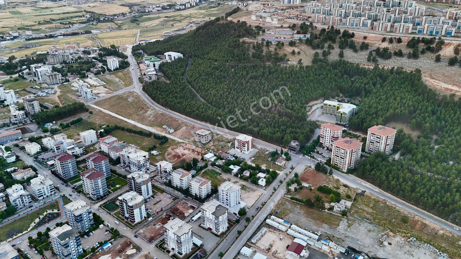 Cumhuriyet Mahallesin'de Satılık 1510 M² Müstakil Tapulu Arsa - Görsel 29
