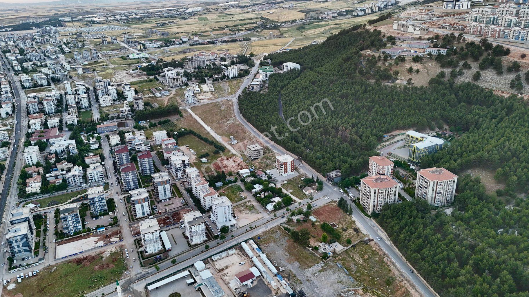 Cumhuriyet Mahallesin'de Satılık 1510 M² Müstakil Tapulu Arsa - Görsel 9