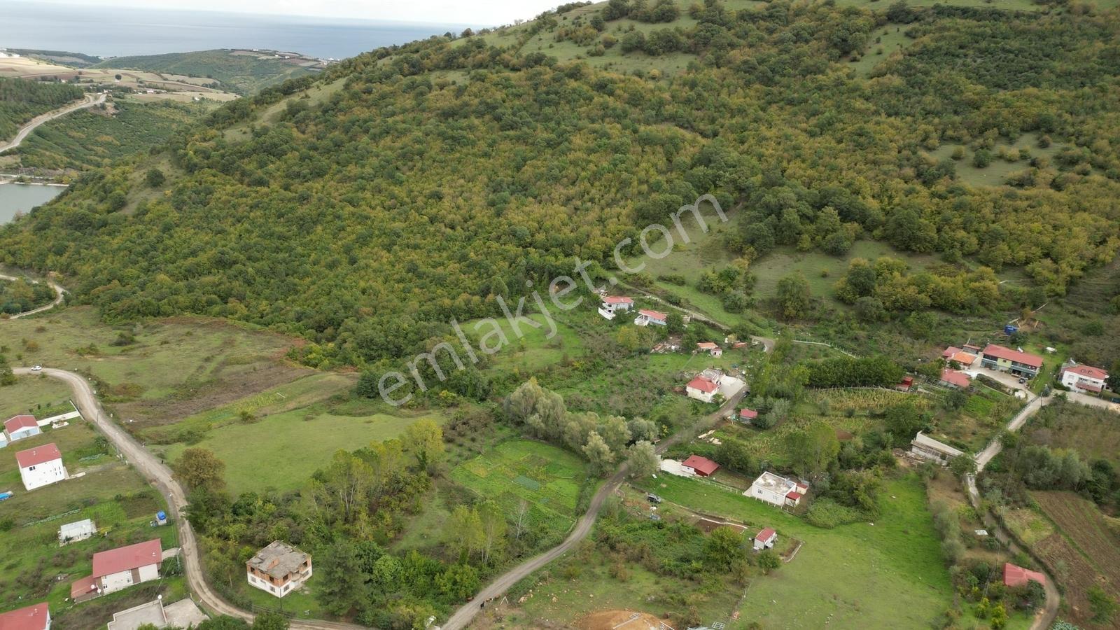 Hisar'dan Ev Yapımına Uygun Yola Cephe Fırsat 708 M2 Tarla - Görsel 9