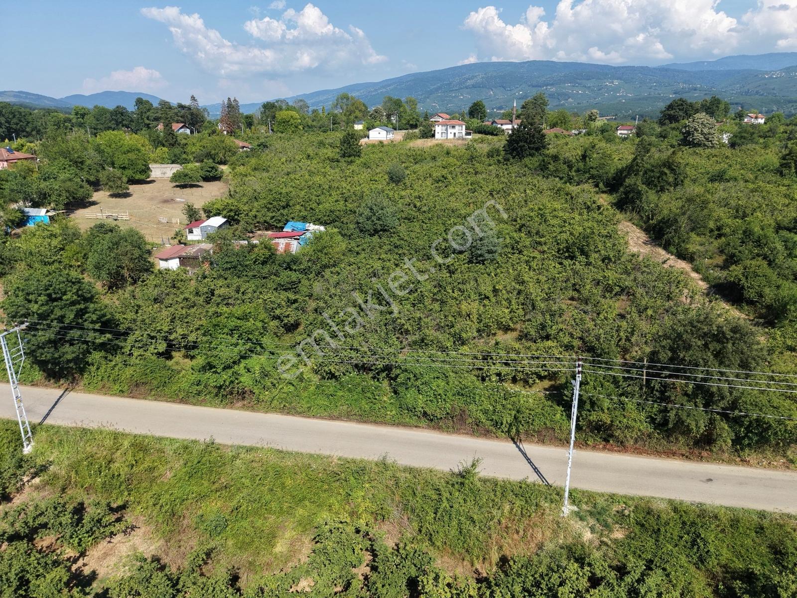 Emlakevim - Yeniköy (tagorek)de 777m2 Villa İmarlı Satılık Arsa - Görsel 6