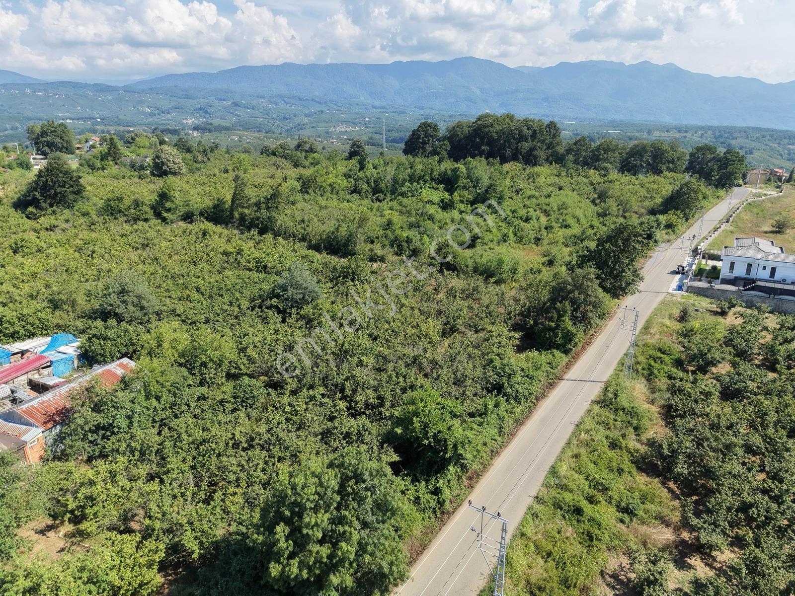 Emlakevim - Yeniköy (tagorek)de 777m2 Villa İmarlı Satılık Arsa - Görsel 12
