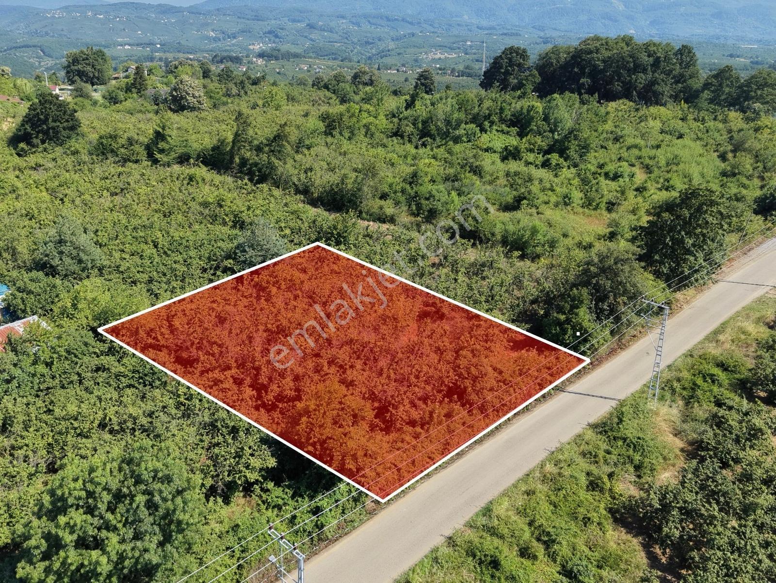 Emlakevim - Yeniköy (tagorek)de 777m2 Villa İmarlı Satılık Arsa