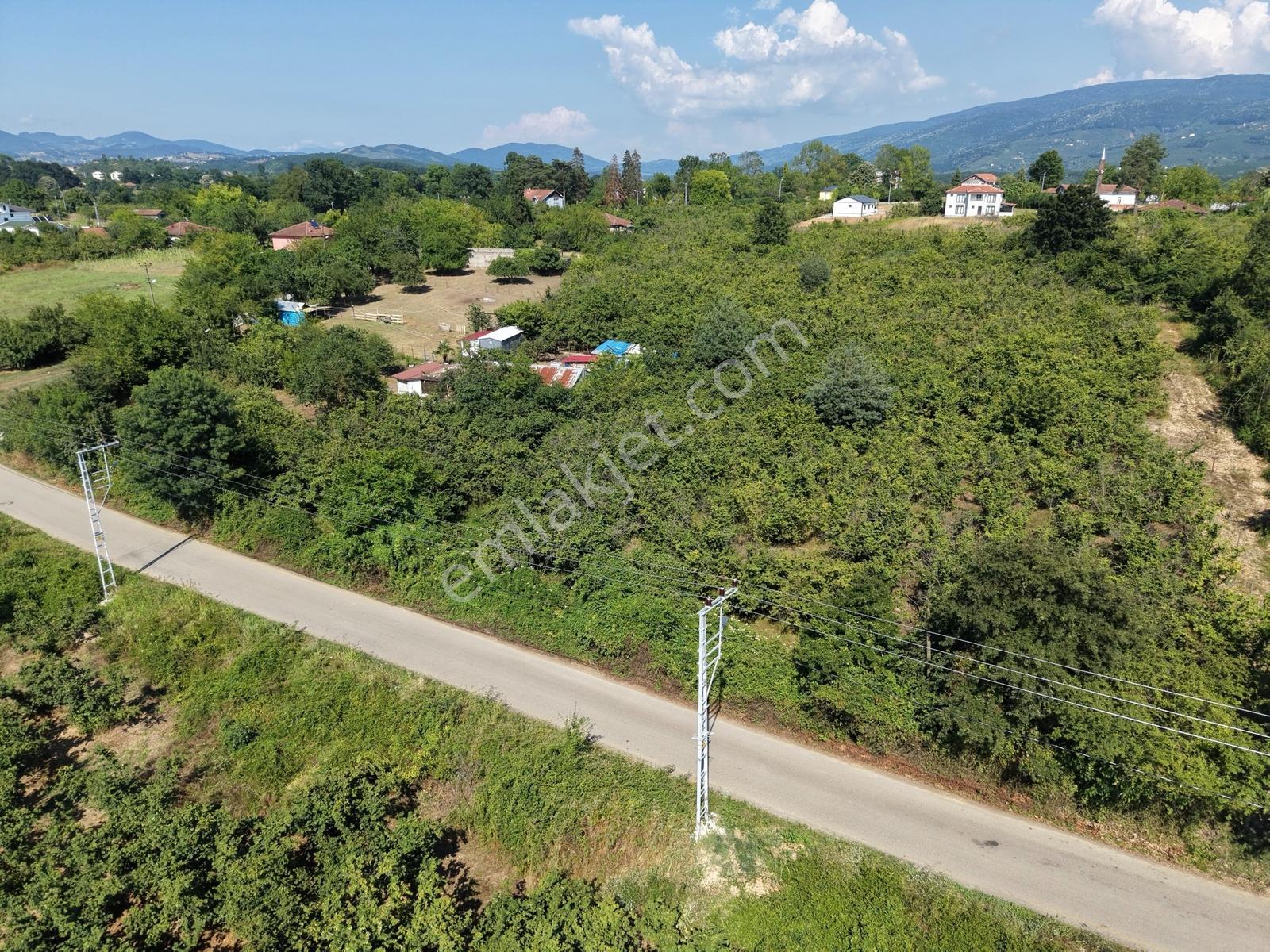 Emlakevim - Yeniköy (tagorek)de 777m2 Villa İmarlı Satılık Arsa - Görsel 17