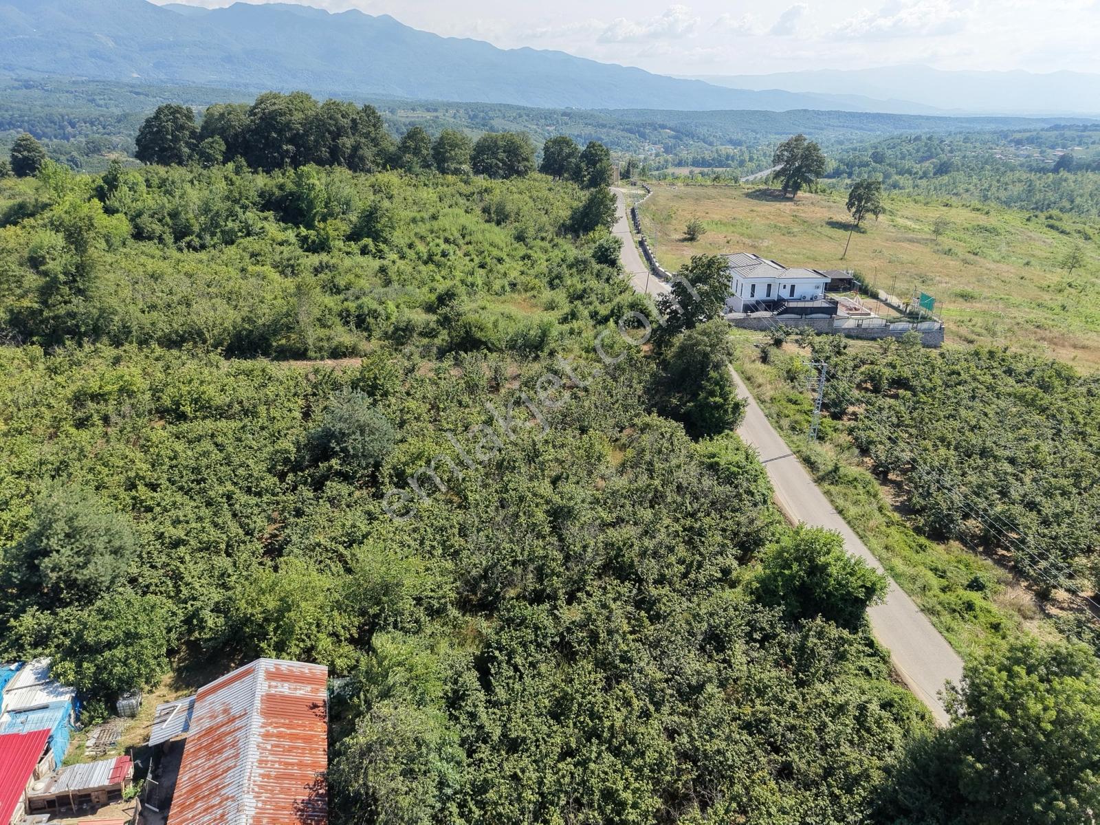 Emlakevim - Yeniköy (tagorek)de 777m2 Villa İmarlı Satılık Arsa - Görsel 16