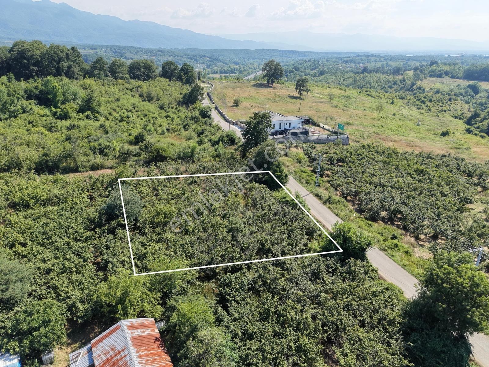 Emlakevim - Yeniköy (tagorek)de 777m2 Villa İmarlı Satılık Arsa - Görsel 29