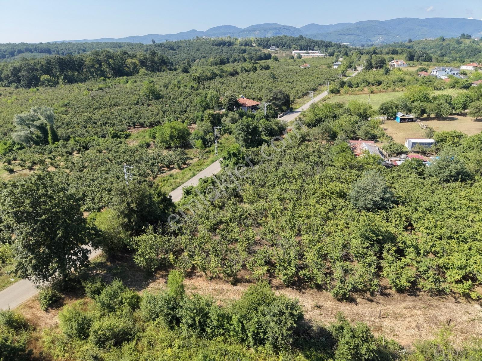 Emlakevim - Yeniköy (tagorek)de 777m2 Villa İmarlı Satılık Arsa - Görsel 23