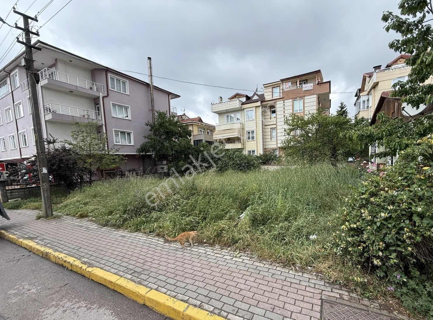 Derince Sopalı Hastanesi Karşısı Satılık 194 M2 Arsa - Görsel 2