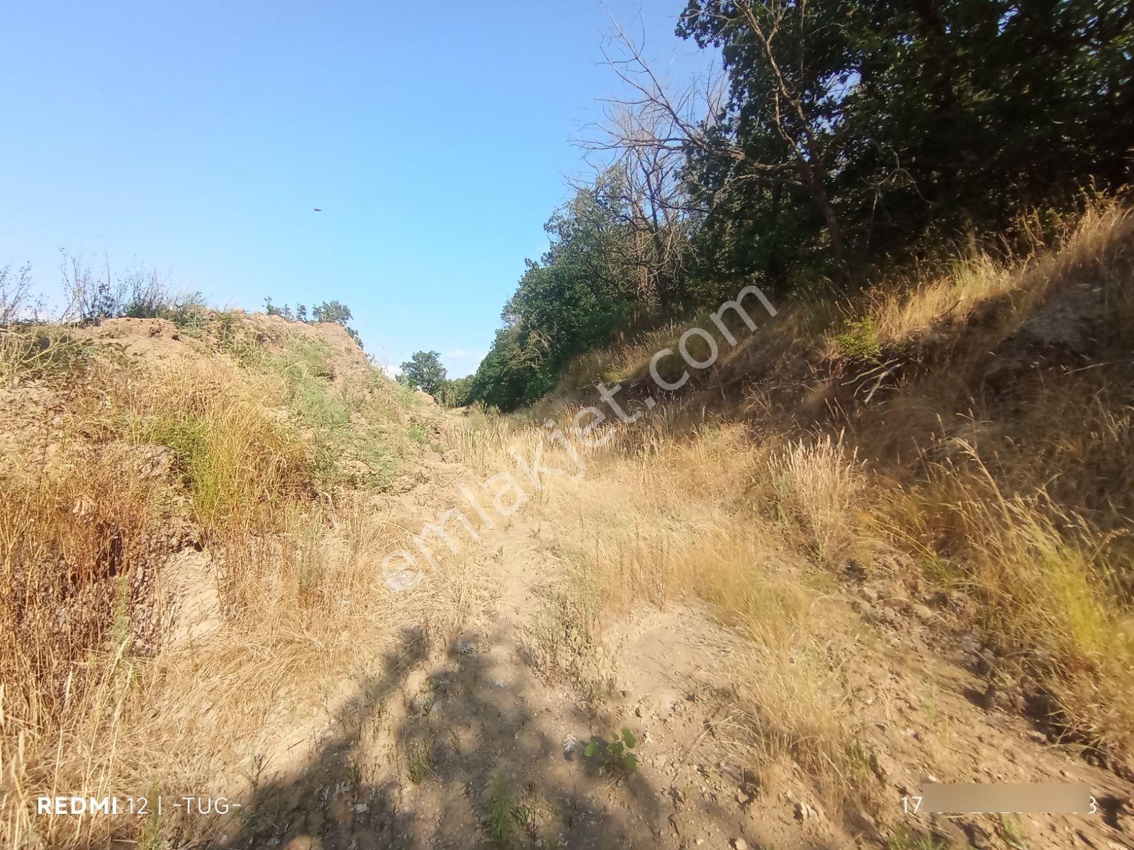Düzce Çakırlar Mahallesinde Satılık Arsa - Görsel 3