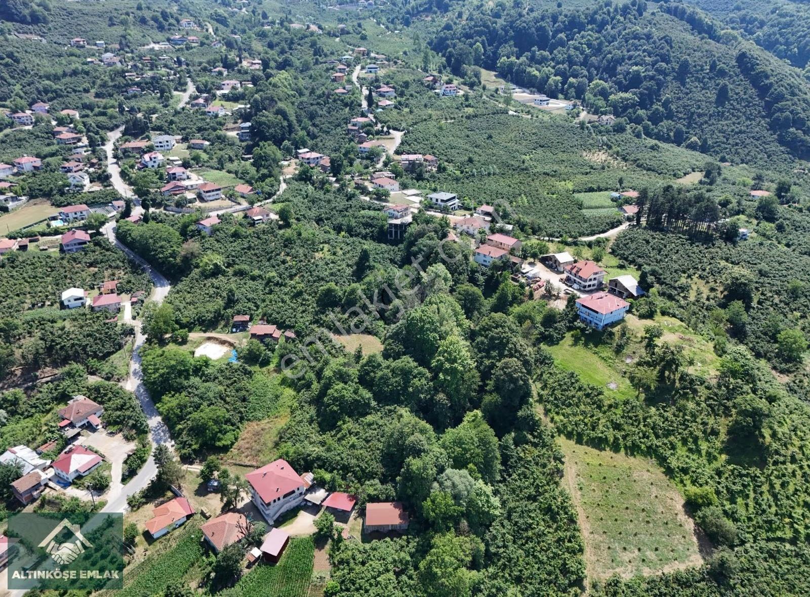 Taşburun'da Satılık 6044m² %40 İmarlı Konut Arsası - Görsel 2