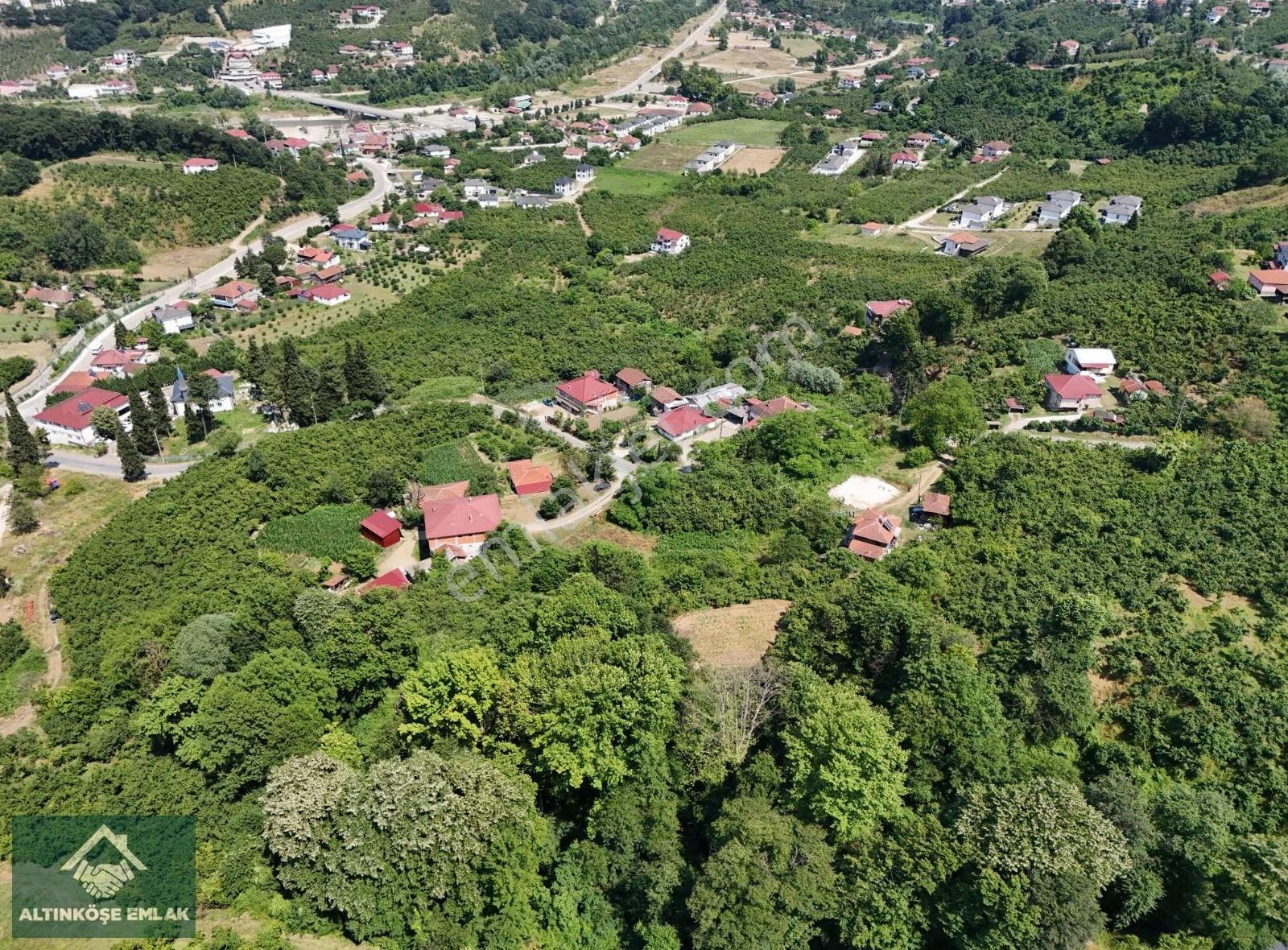 Taşburun'da Satılık 6044m² %40 İmarlı Konut Arsası - Görsel 4