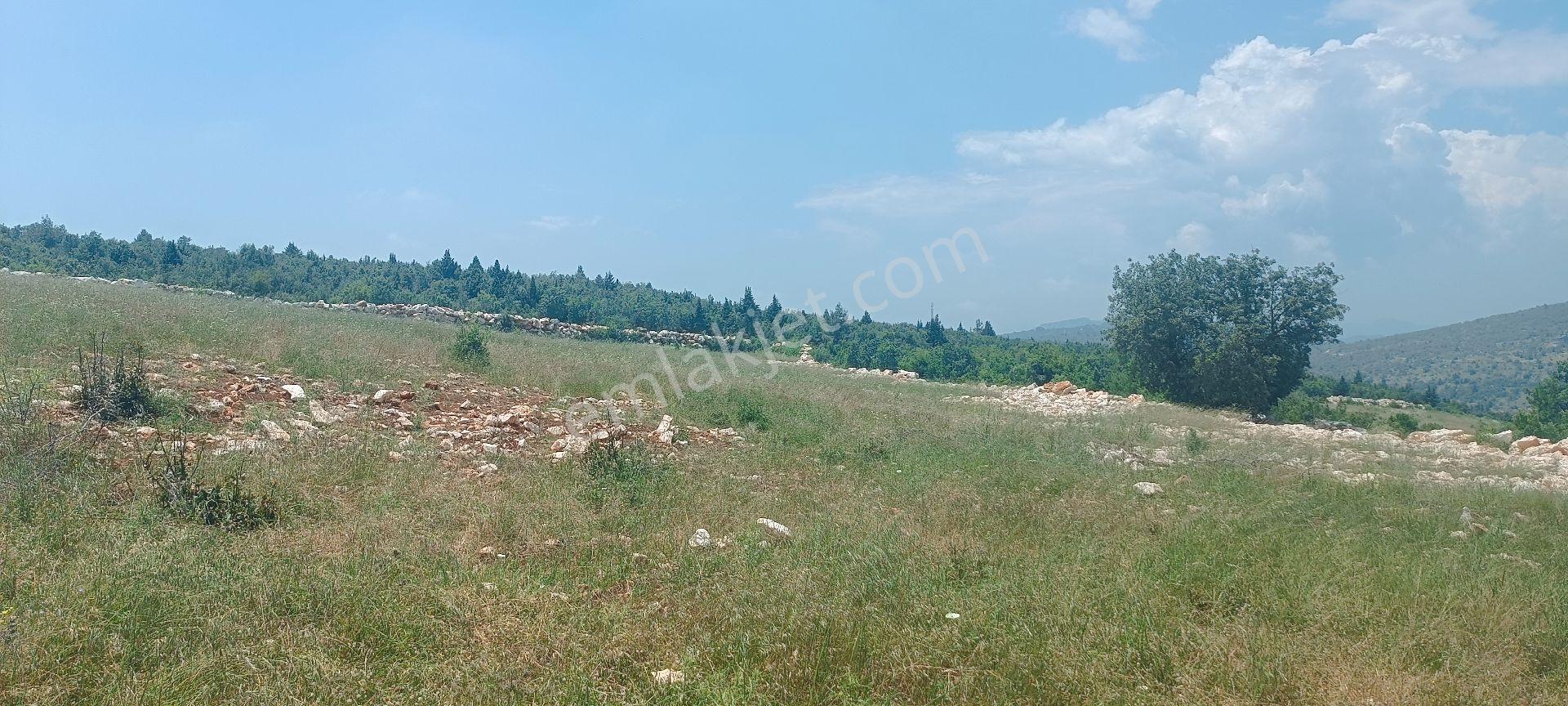 Yatırımlık Güzel Konumlu Tarla - Görsel 8