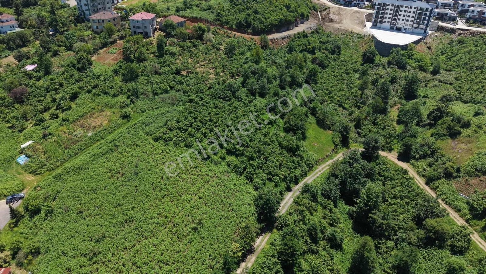 İnvestor Gayrimenkul Satılık İmarlı Arsa - Görsel 10