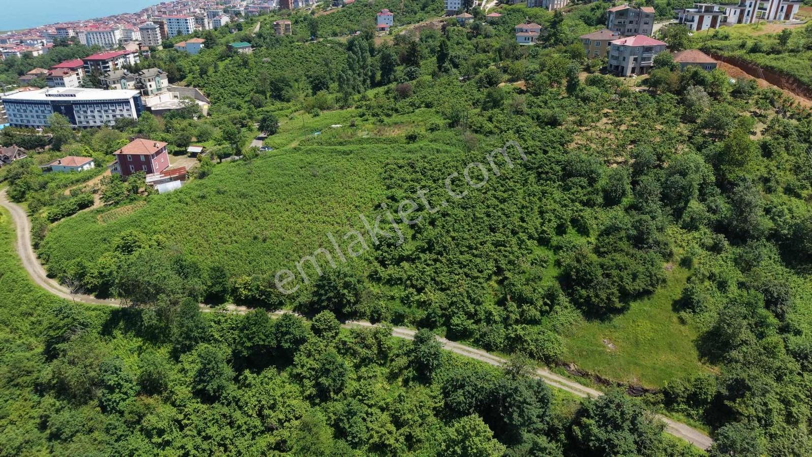 İnvestor Gayrimenkul Satılık İmarlı Arsa - Görsel 15