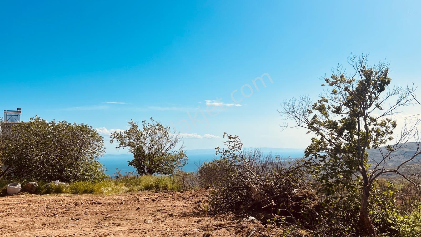 Tekirdağ Şarköy Çınarlı 1656m2 Konut İmarlı Deniz Manzaralı Kupon Arsa - Görsel 6