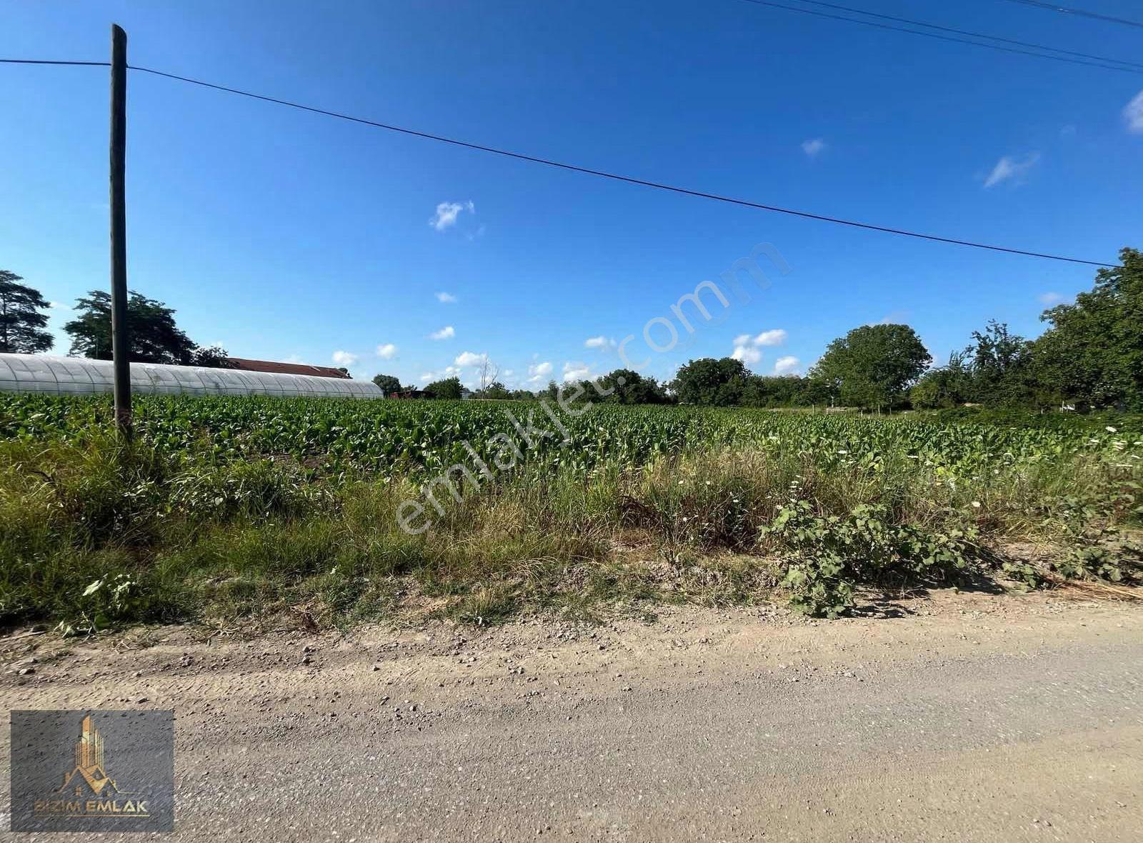 Temel Emlaktan Satılık Bahçelerde Satılık 4 Parsel 1180 M2 Arsa