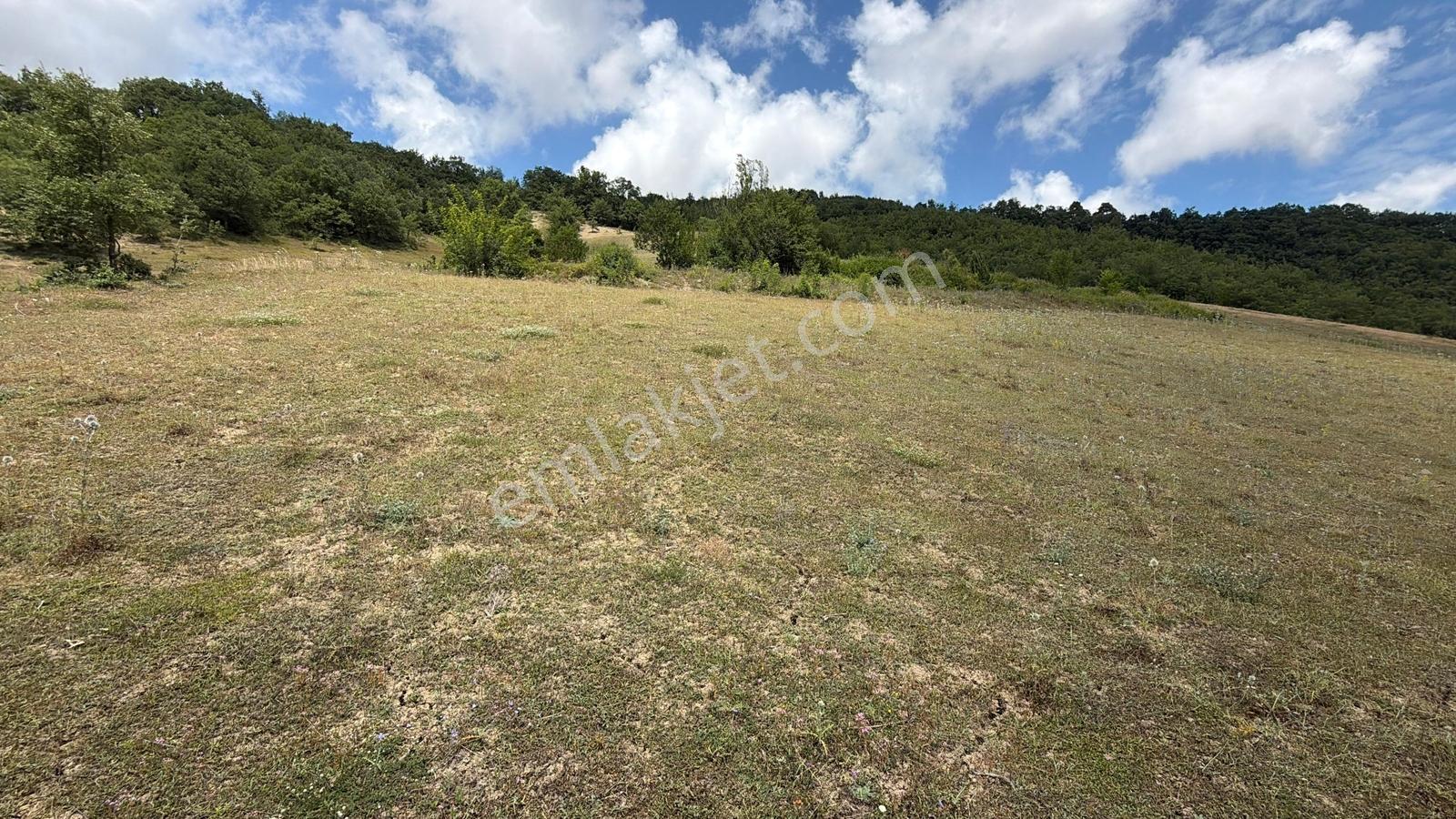 Çamlıcadan Batı Çevre Yolu Gelişim Aksında 3.415 M² Satılık Arsa - Görsel 3
