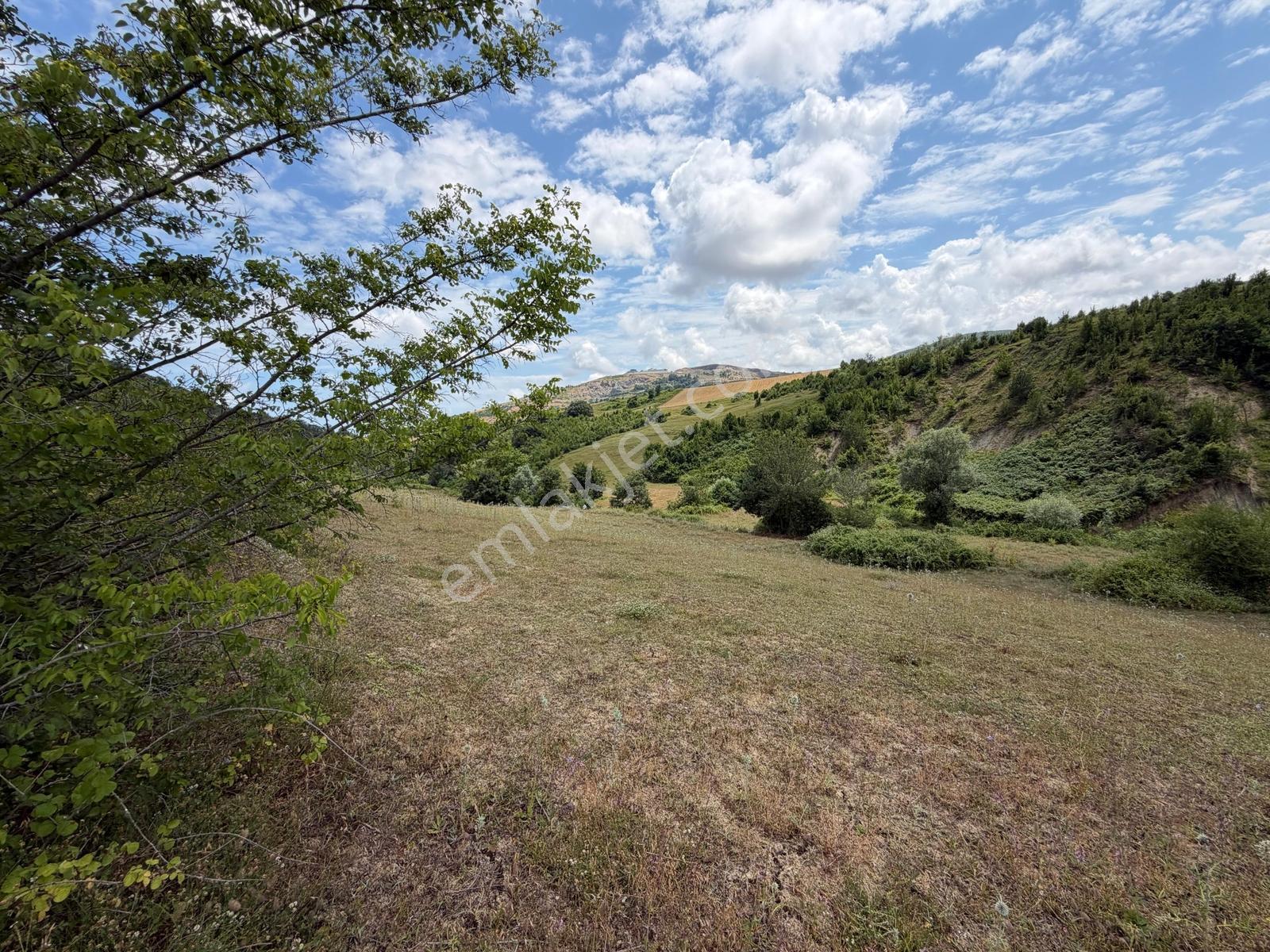Çamlıcadan Batı Çevre Yolu Gelişim Aksında 3.415 M² Satılık Arsa - Görsel 28