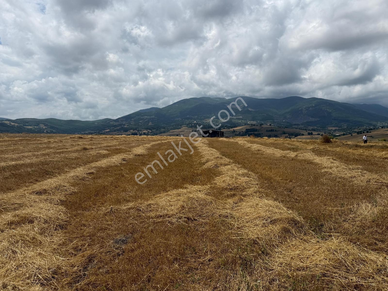 Batı Çevre Yolu Gelişen Lokasyonda Deniz Manzaralı Satılık - Görsel 22