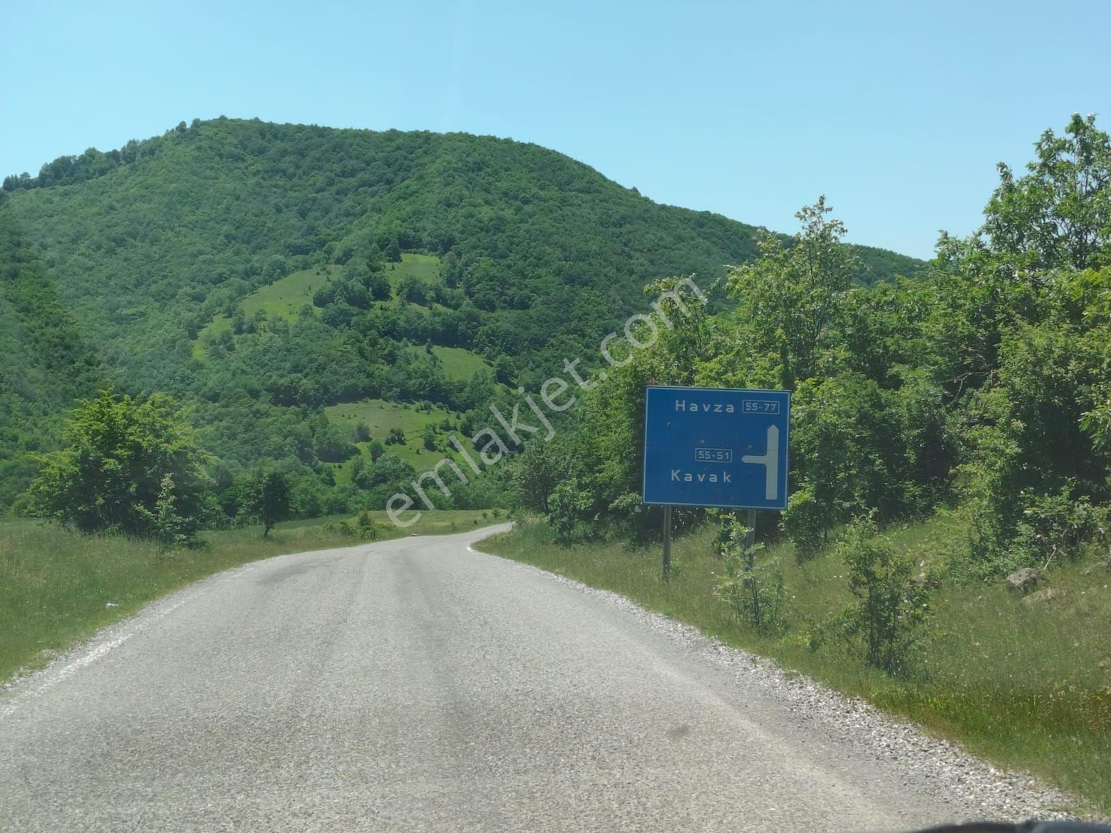 Samsun Havza Boyalı Mevkii'nde 4.567 M² Verimli Tarla | Yola 180 Metre Yatırımlık - Görsel 4