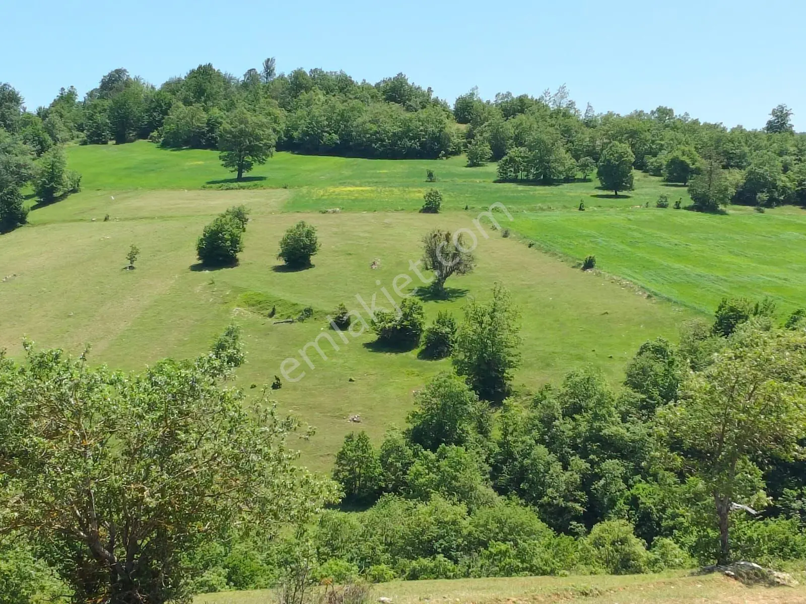 Samsun Havza Boyalı Mevkii'nde 4.567 M² Verimli Tarla | Yola 180 Metre Yatırımlık