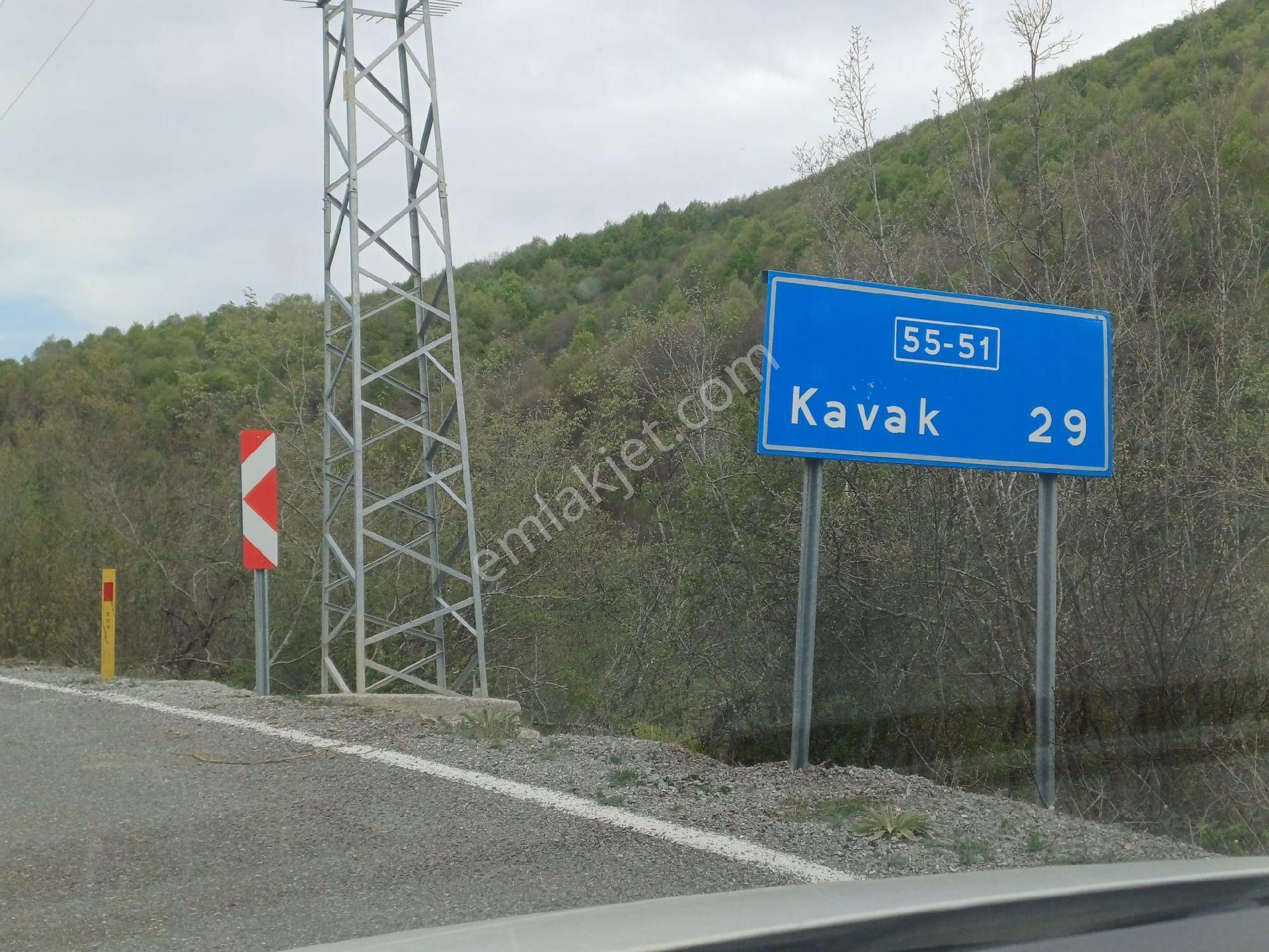 Samsun Havza Boyalı Mevkii'nde 4.567 M² Verimli Tarla | Yola 180 Metre Yatırımlık - Görsel 17
