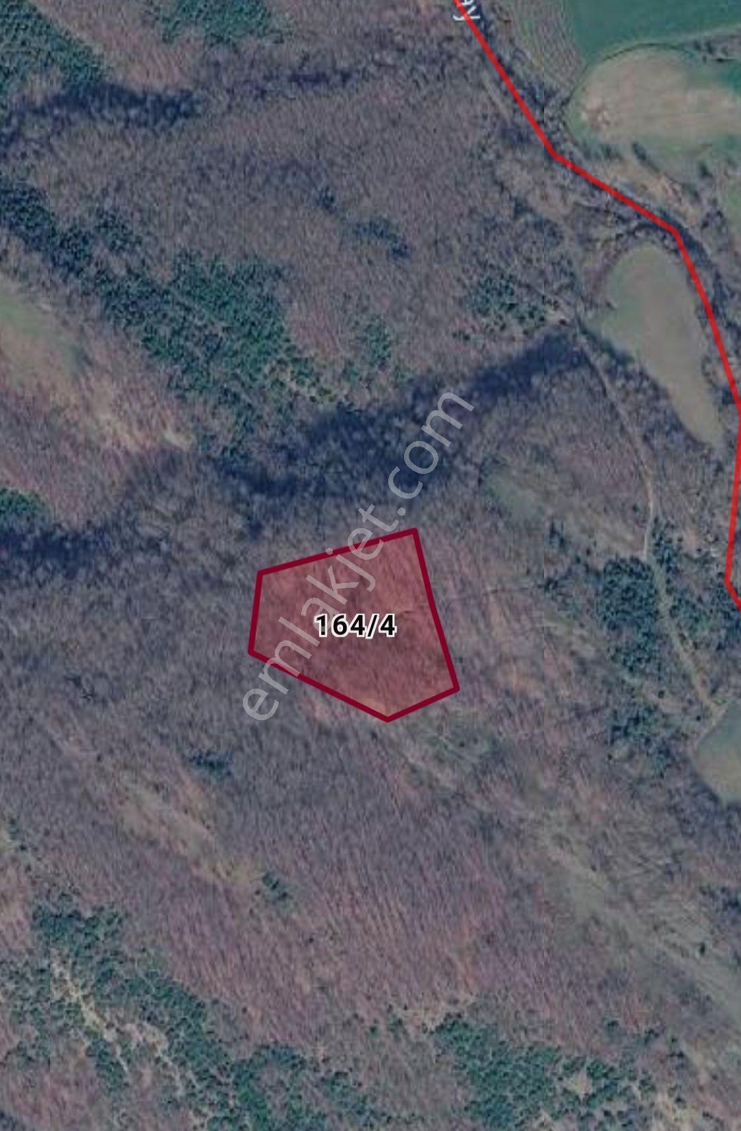 Samsun Alaçam Köseköy'de 5.552 M² Verimli Tarla | Yatırımlık Fırsat - Görsel 13