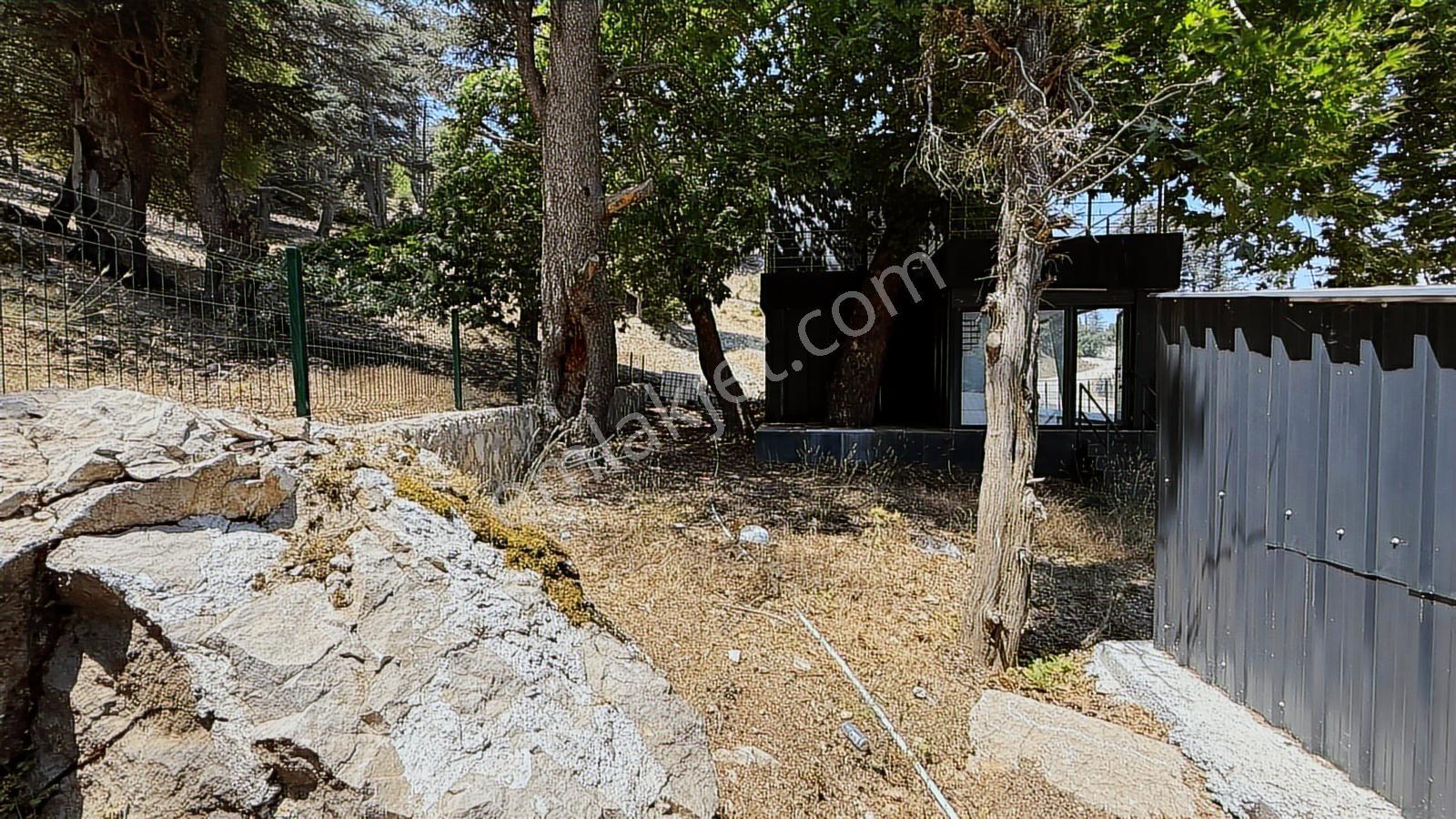 Acil Kelepir Sıfır Tıny House Hisarçandırda Doğayla İç İçe! - Görsel 7