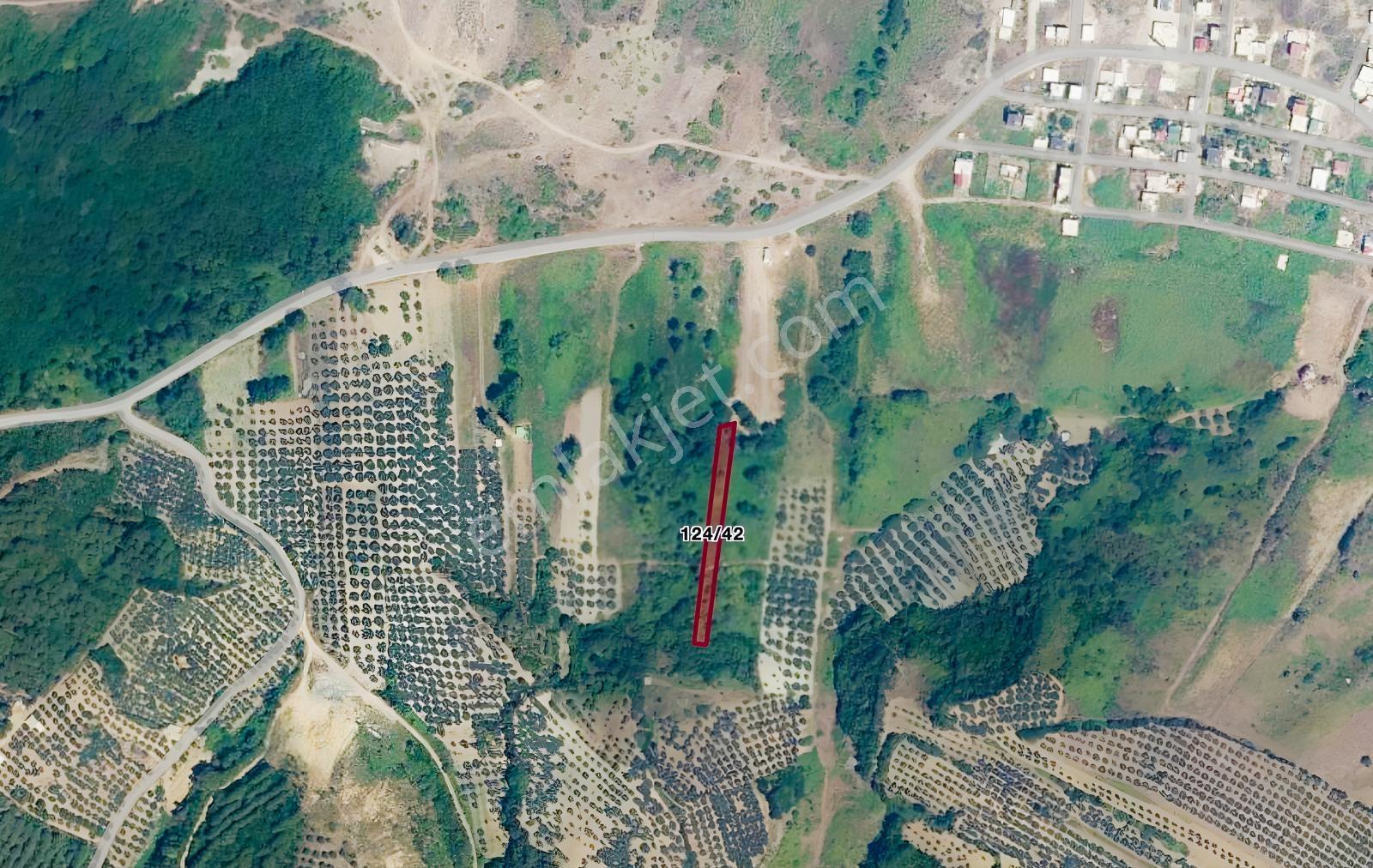 REMAX AREA DAN MESUDİYE DE SATILIK 1301 M2 DENİZE YAKIN TARLA - Görünüm 3