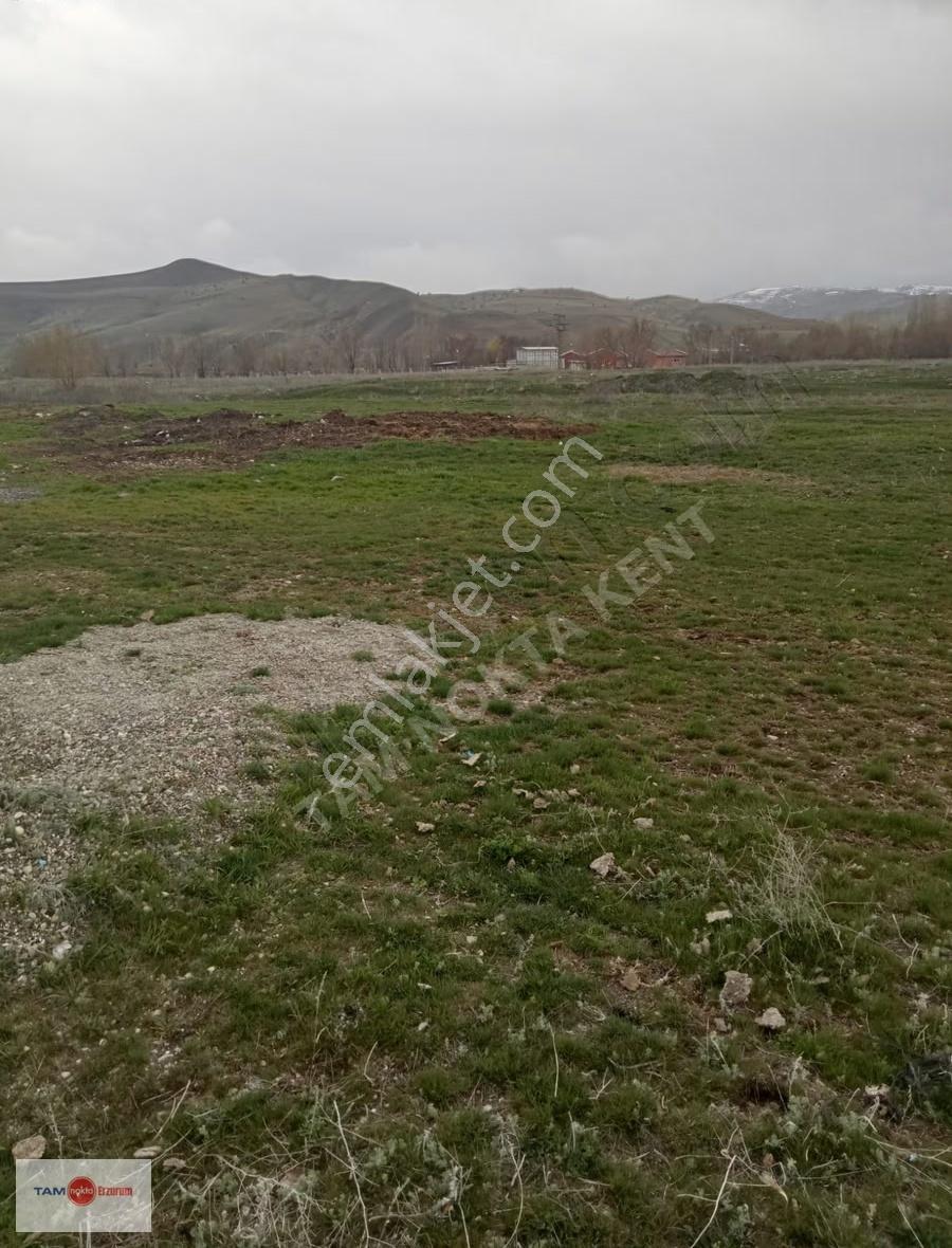 TAM NOKTA KENT'TEN AŞKALE YEŞİLOVA MAH. UYGUN FİYATLI ARSA! - Görünüm 2