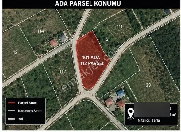 REMAX AKIN SEYHAN DAN VİZE DE YATIRIMLIK FIRSAT TARLA - Görünüm 3