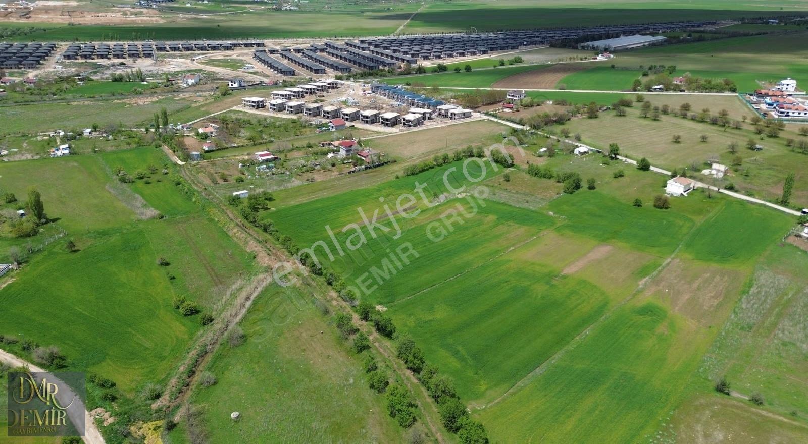 A.HOLPENKTE SATILIK 9.795 M² 3 PARSEL (AÇIKLAMAYI OKUYUNUZ) - Görünüm 2