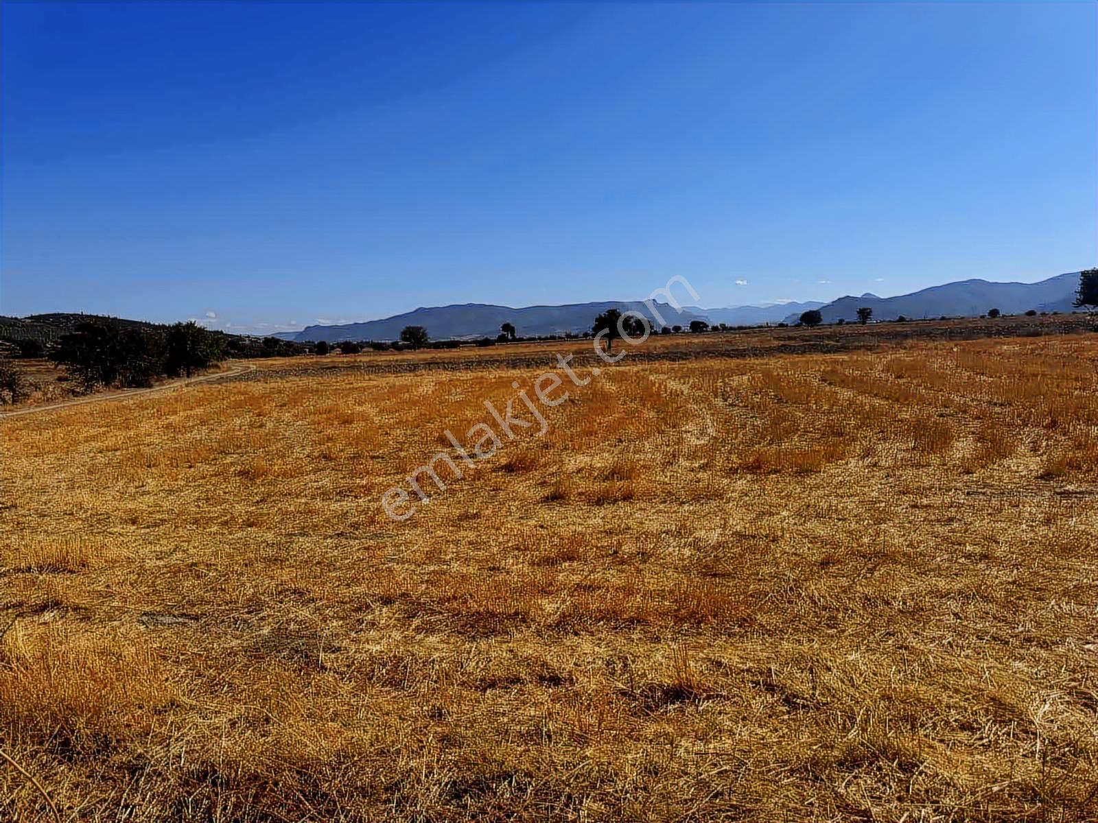 ÇUBUK BELİNİ GEÇİNCE KORKUTELİNE SINIR 6.324 M2 ARAZİ ! - Görünüm 5
