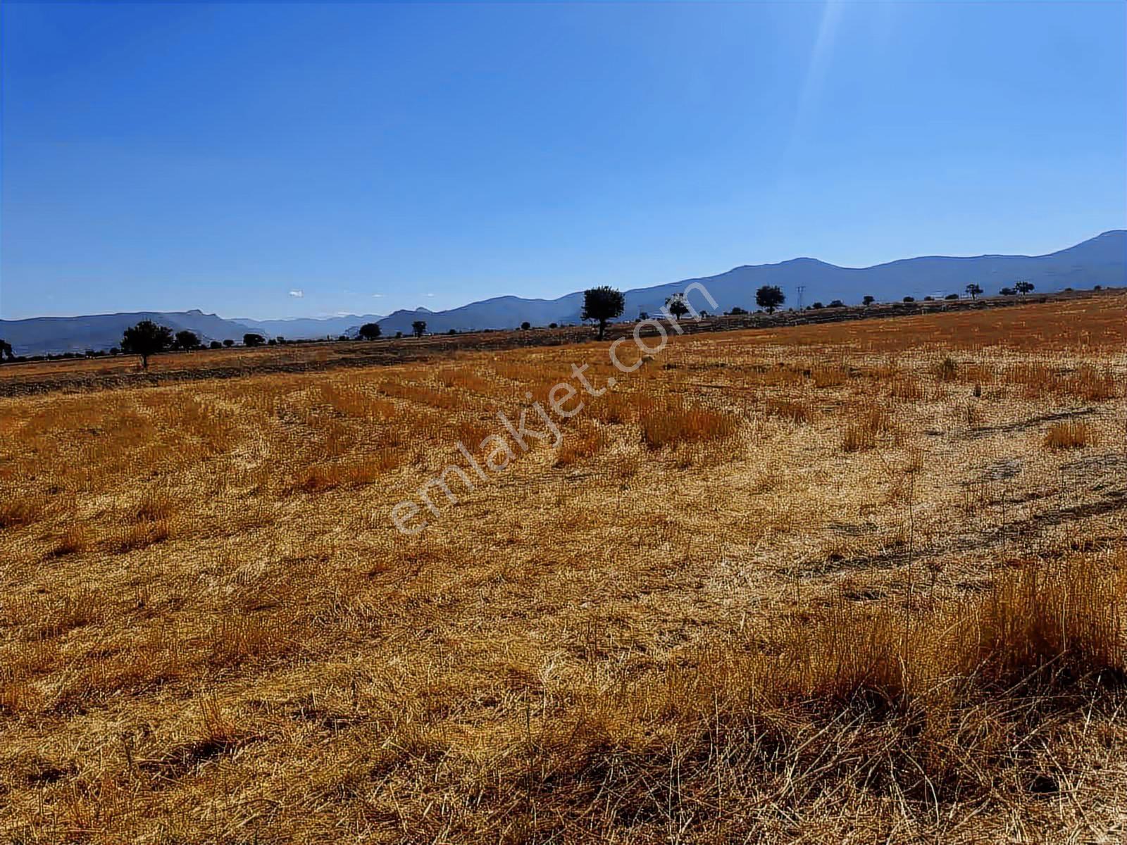 ÇUBUK BELİNİ GEÇİNCE KORKUTELİNE SINIR 6.324 M2 ARAZİ ! - Görünüm 3