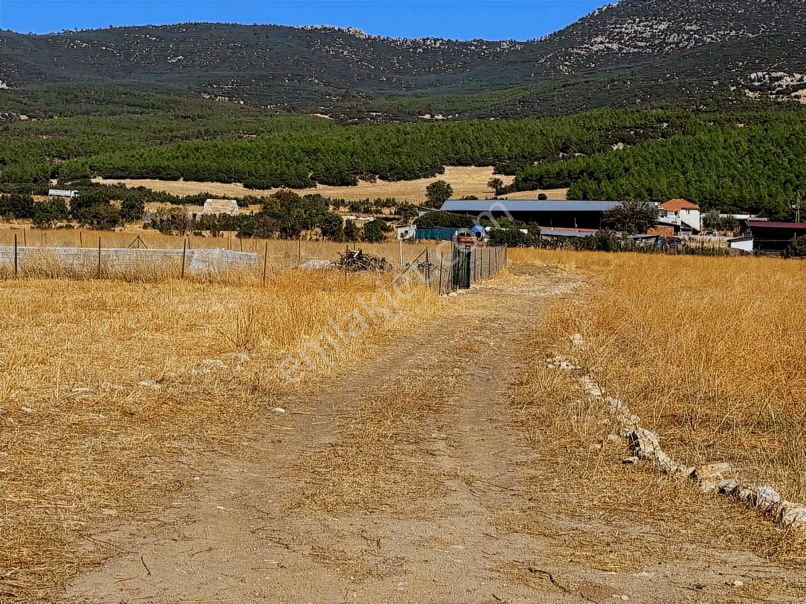 ÇUBUK BELİNİ GEÇİNCE KORKUTELİNE SINIR 6.324 M2 ARAZİ ! - Daha fazla