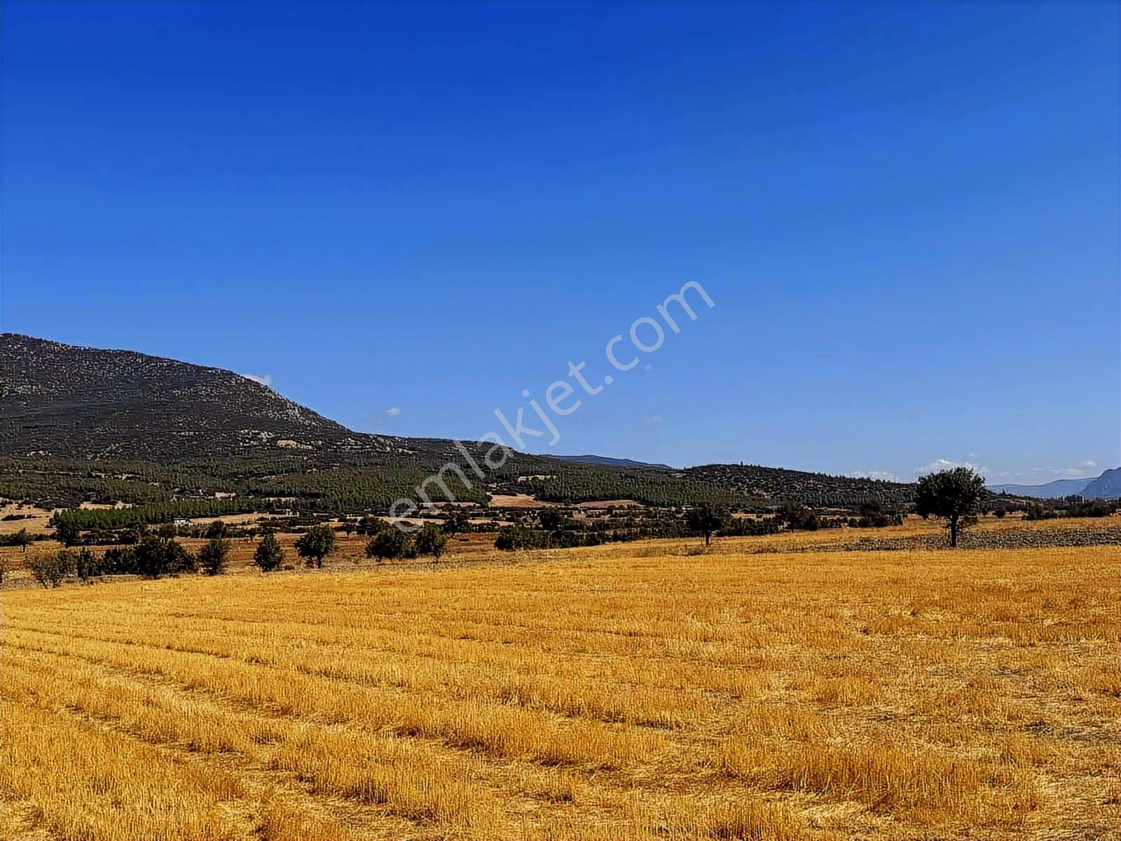 ÇUBUK BELİNİ GEÇİNCE KORKUTELİNE SINIR 6.324 M2 ARAZİ ! - Görünüm 4