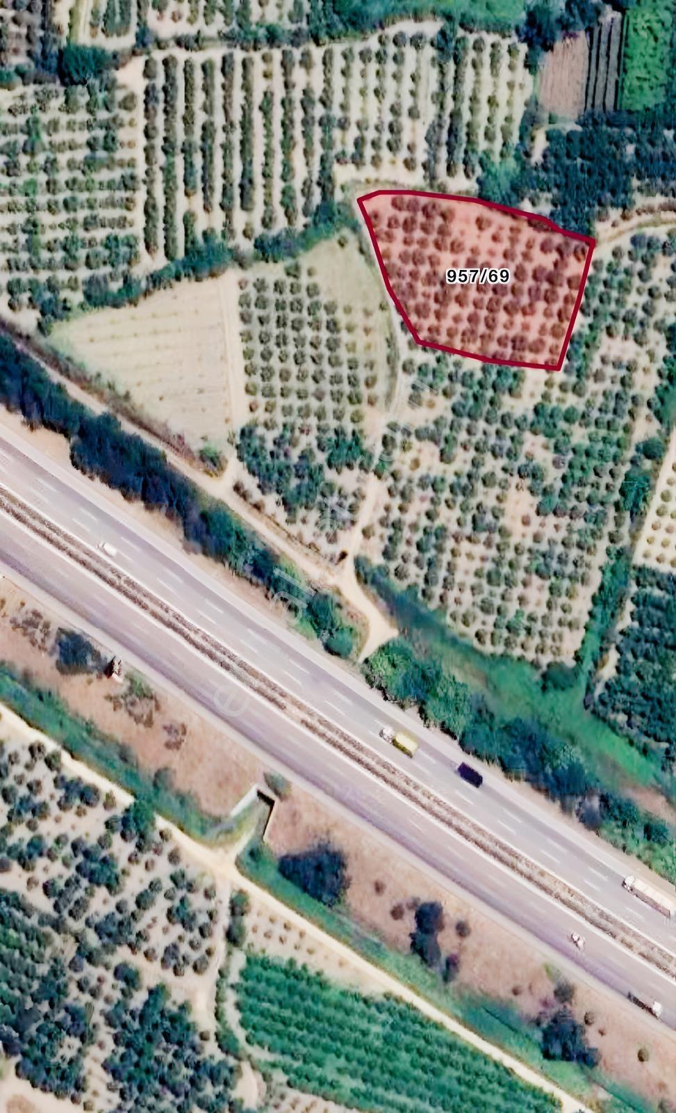 BURSA KESTEL BARAKFAKİH'TE 2445 M² SANTA MARİA ARMUT BAHÇESİ - Daha fazla