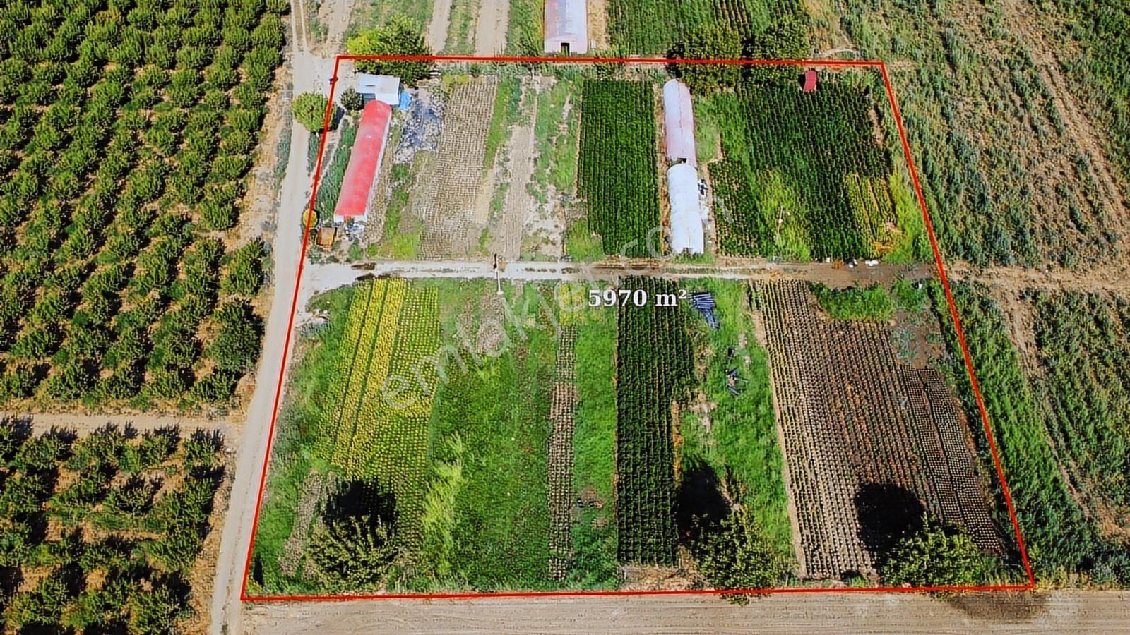 Pasifik'ten Bayındır Sadıkpaşada Yatırımlık 5970 M² Tarla