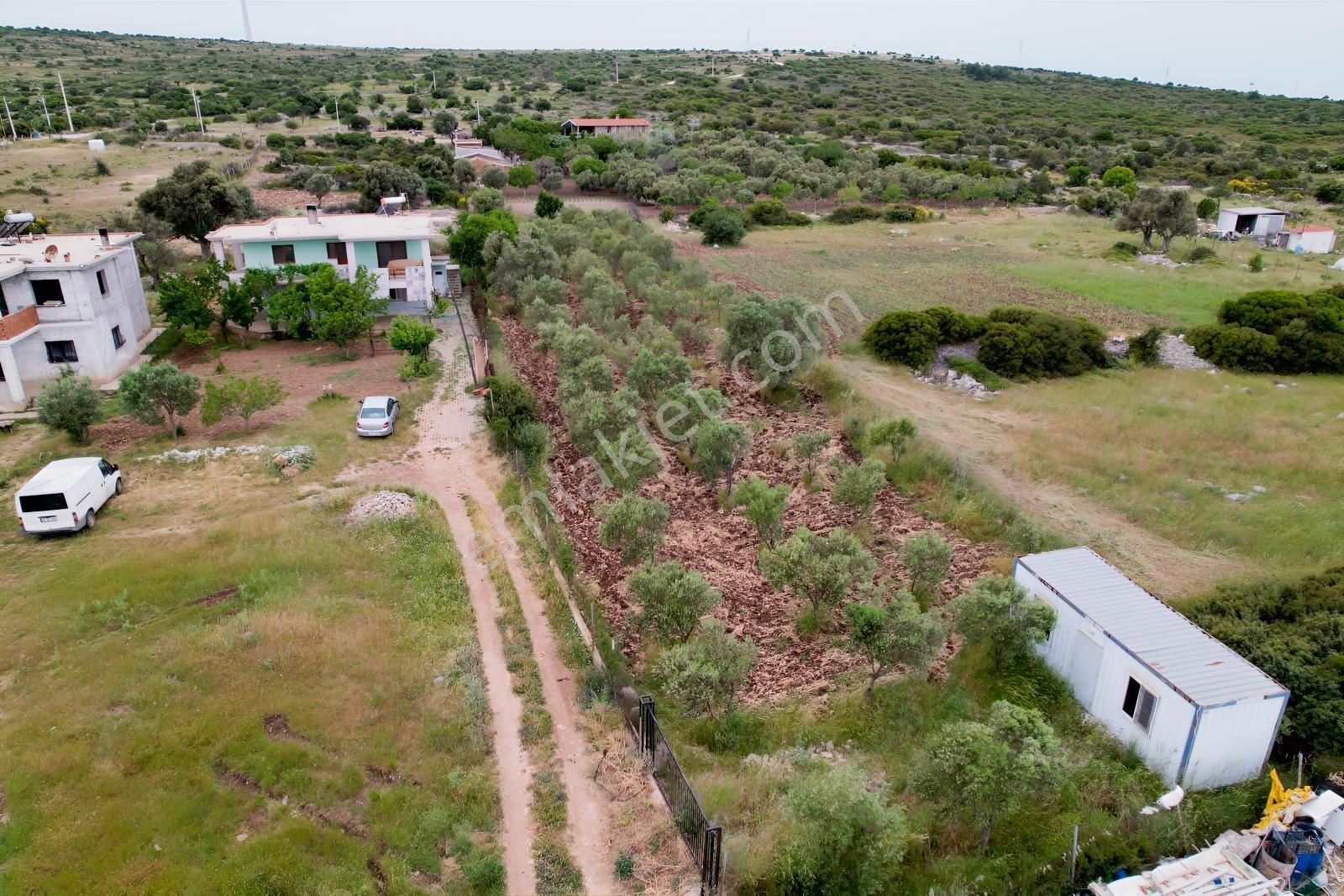 Pasifik'ten Çeşme Germiyan Köyü 1.771 M² Arazi