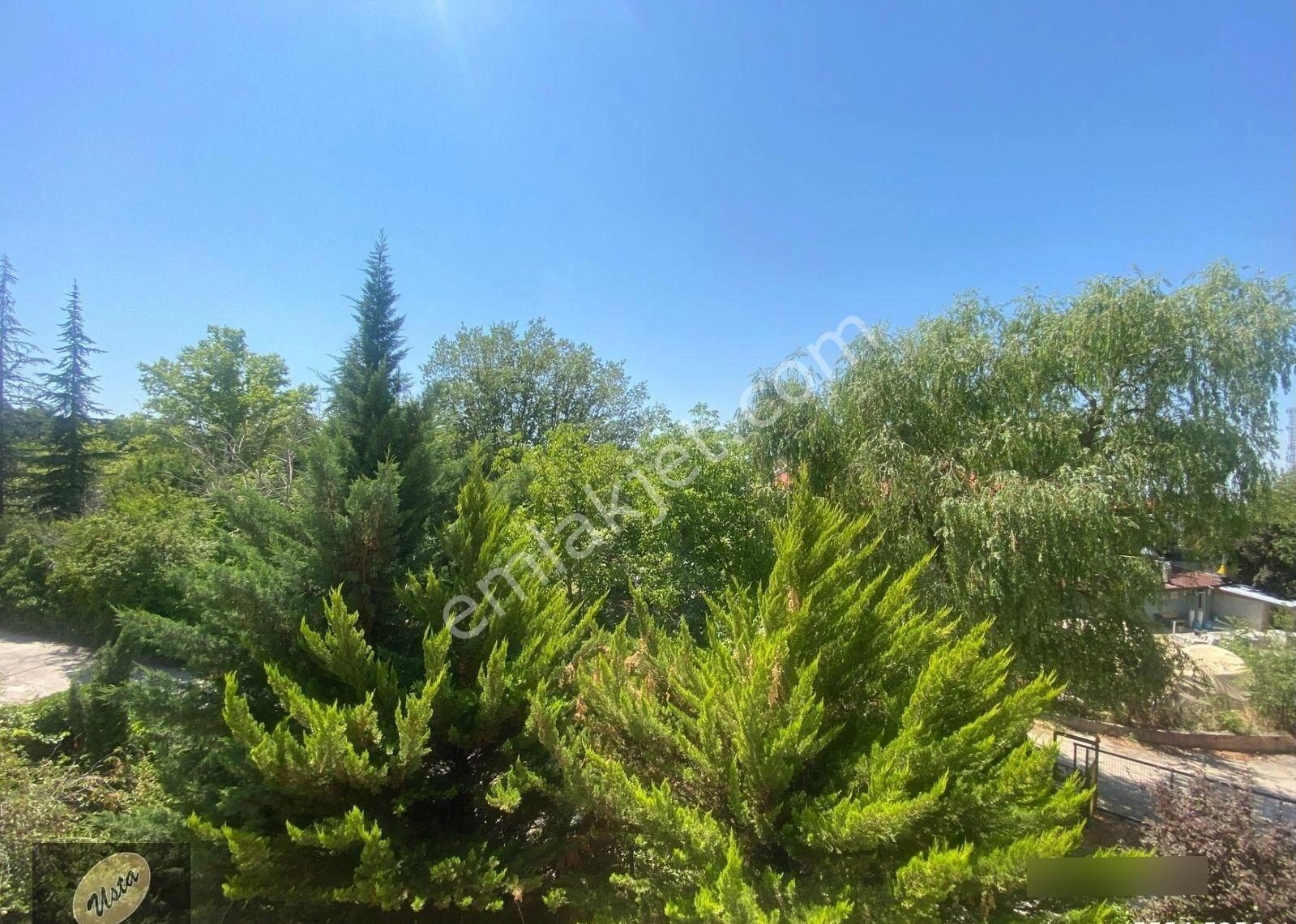 Daire – Ankara, 100. Yıl, İşçi Blokları - Görünüm 3