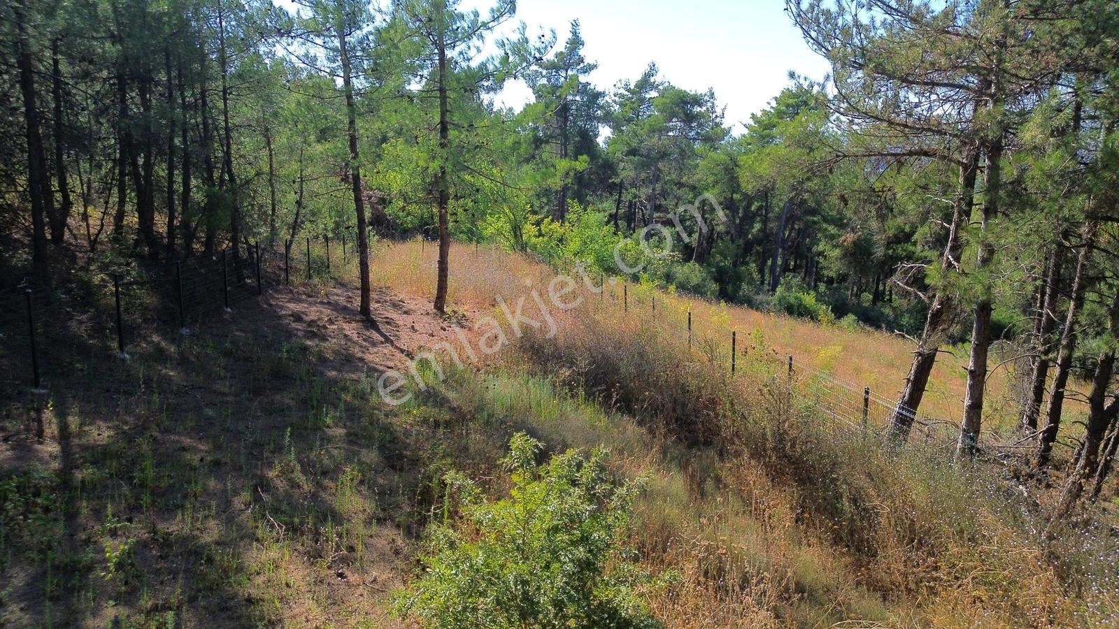 AKALIN'DAN NİLÜFER TAHTALI 440M² SATILIK HOBİ BAHÇESİ - Daha fazla