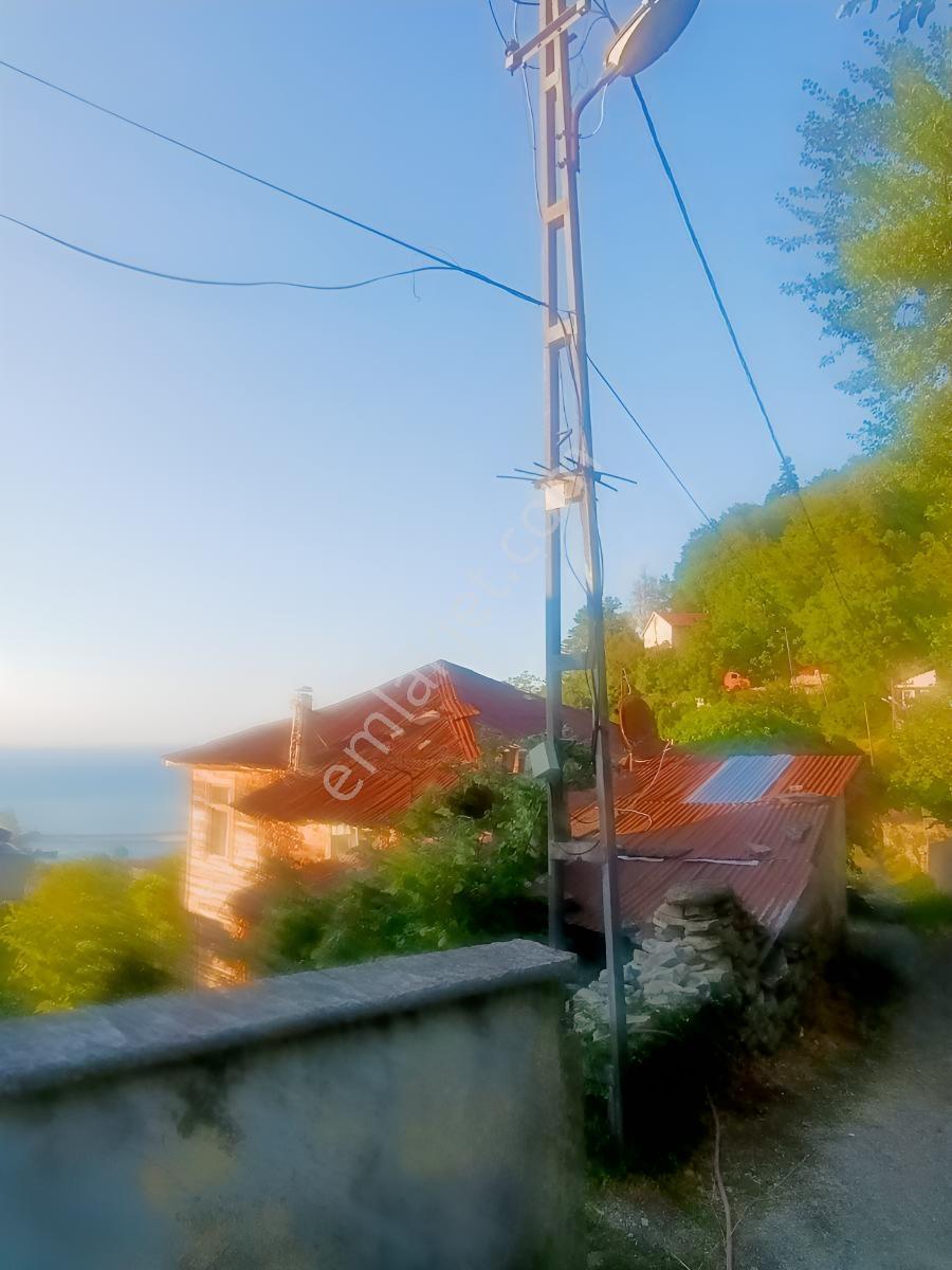 Ev – İnebolu - Daha fazla
