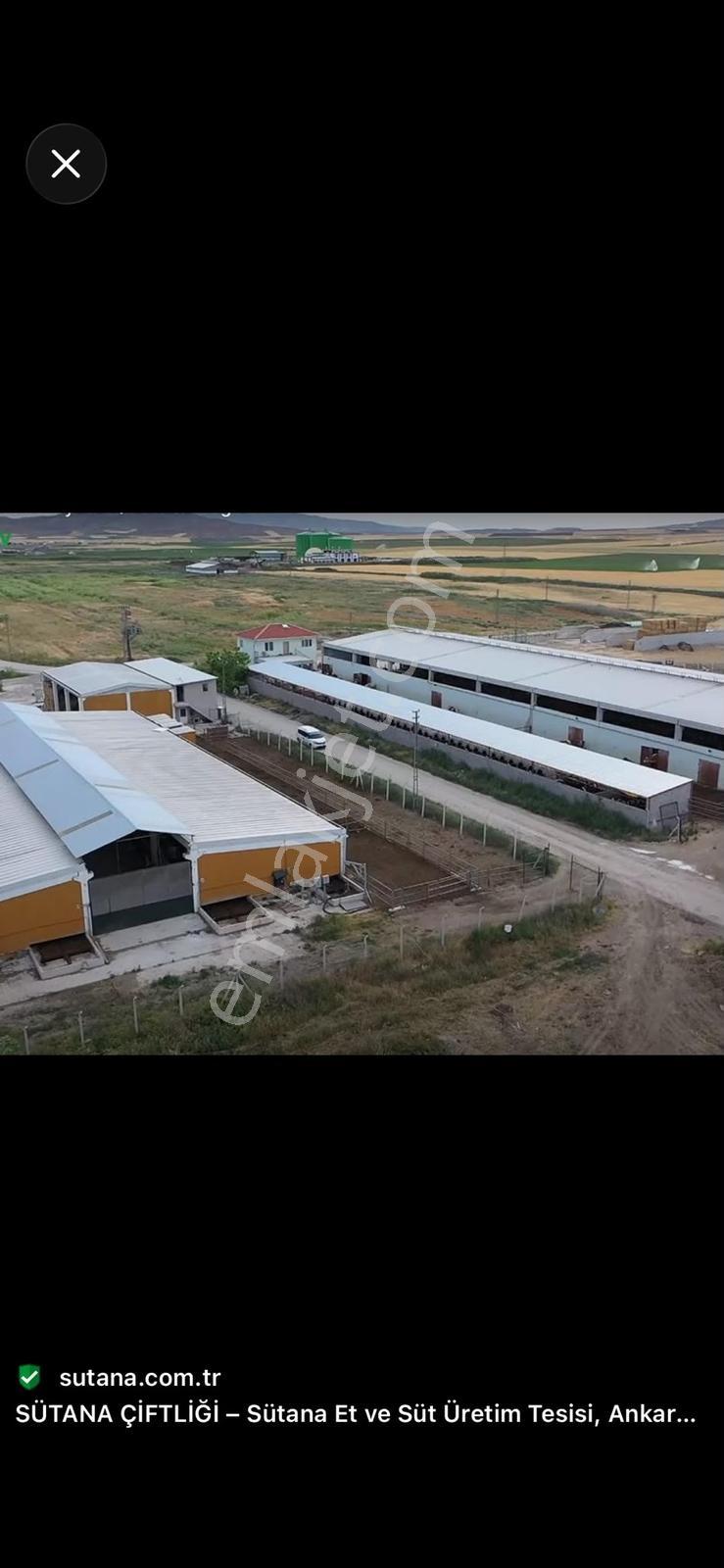 SATILIK ANAYURT TA TEK TAPU,KÖK TAPU TARLA - Görünüm 4