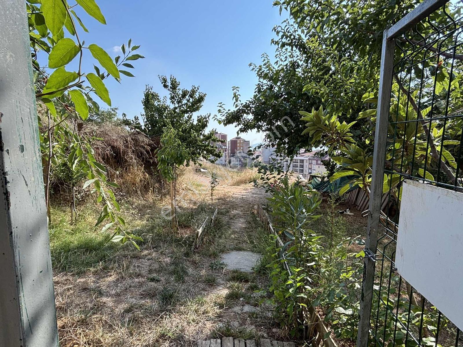 Daire – İstanbul - Görünüm 3