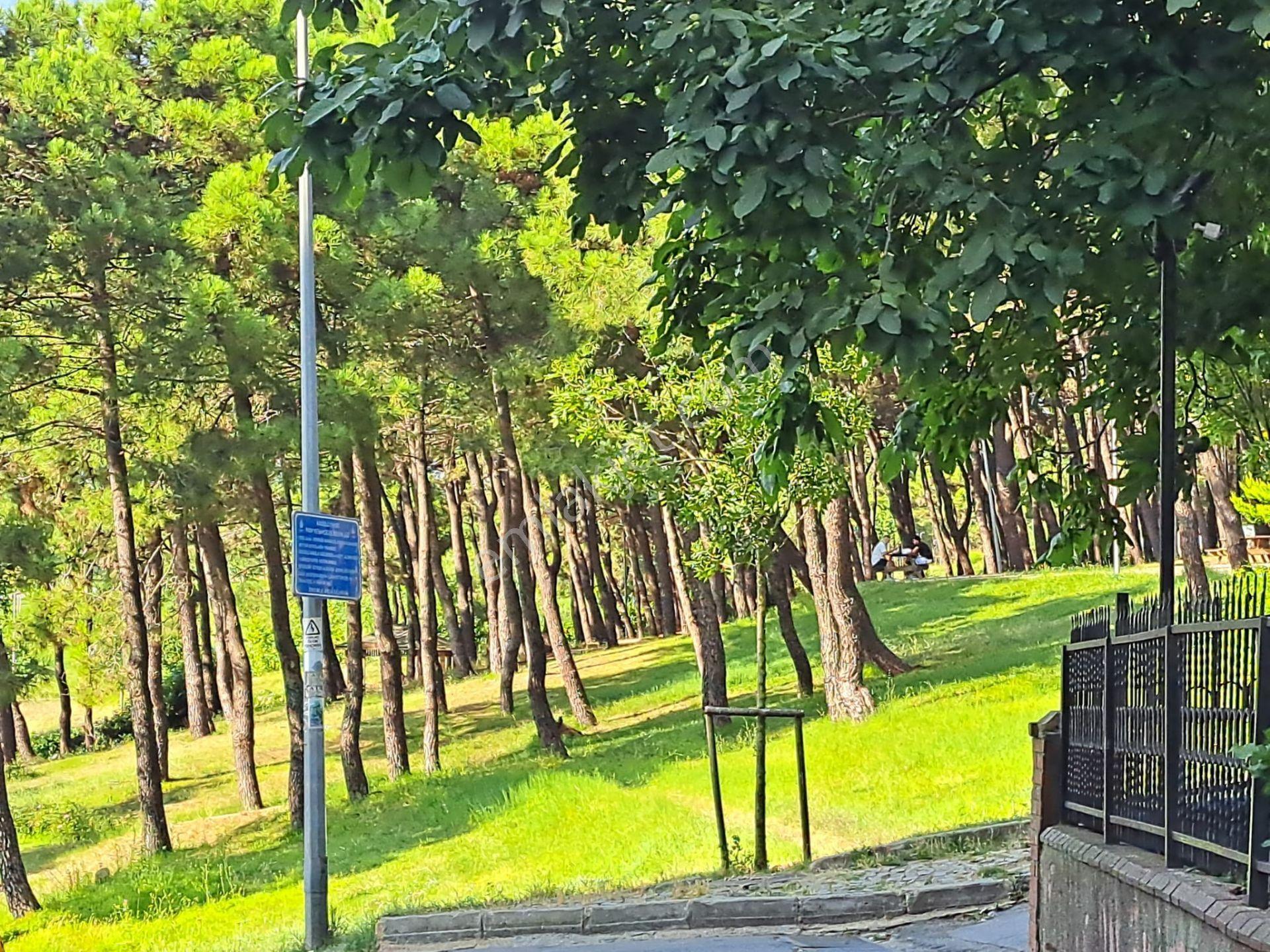 Apartment in İstanbul